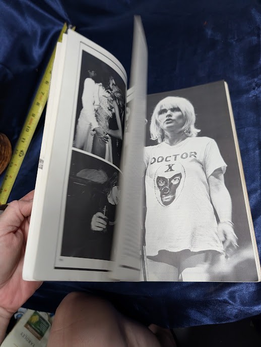 Rock ’n‘ Roll Babylon Gary Herman Paperback Music History Book