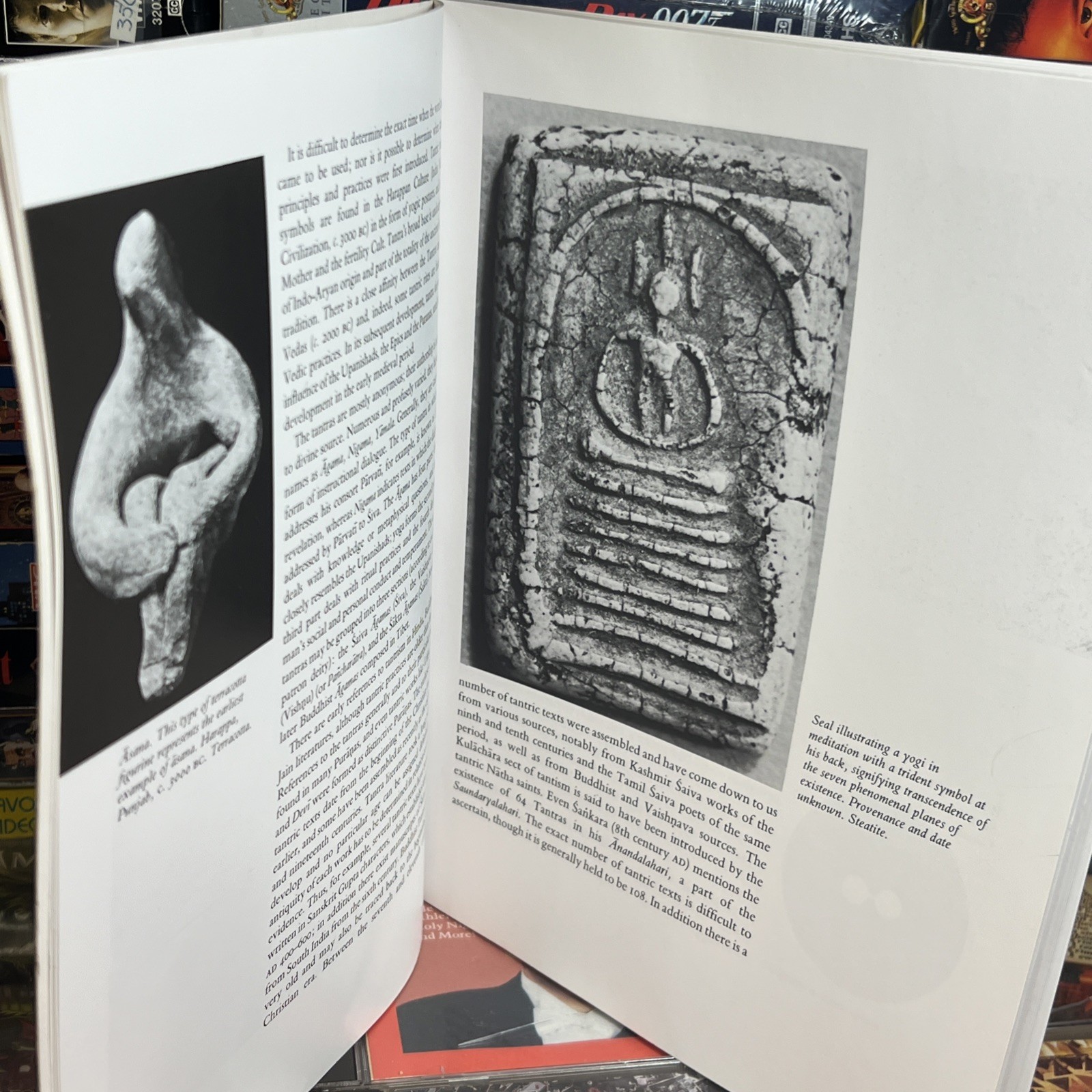The Tantric Way Art Science Ritual by Ajit Mookerjee & Madhu Khanna Illustrated