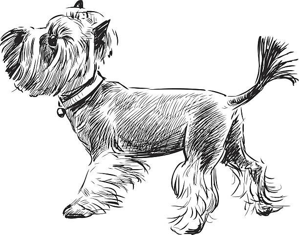 Dogs coloring book for all ages Pets Series 108 Pages 8.5 x 11 for All Ages
