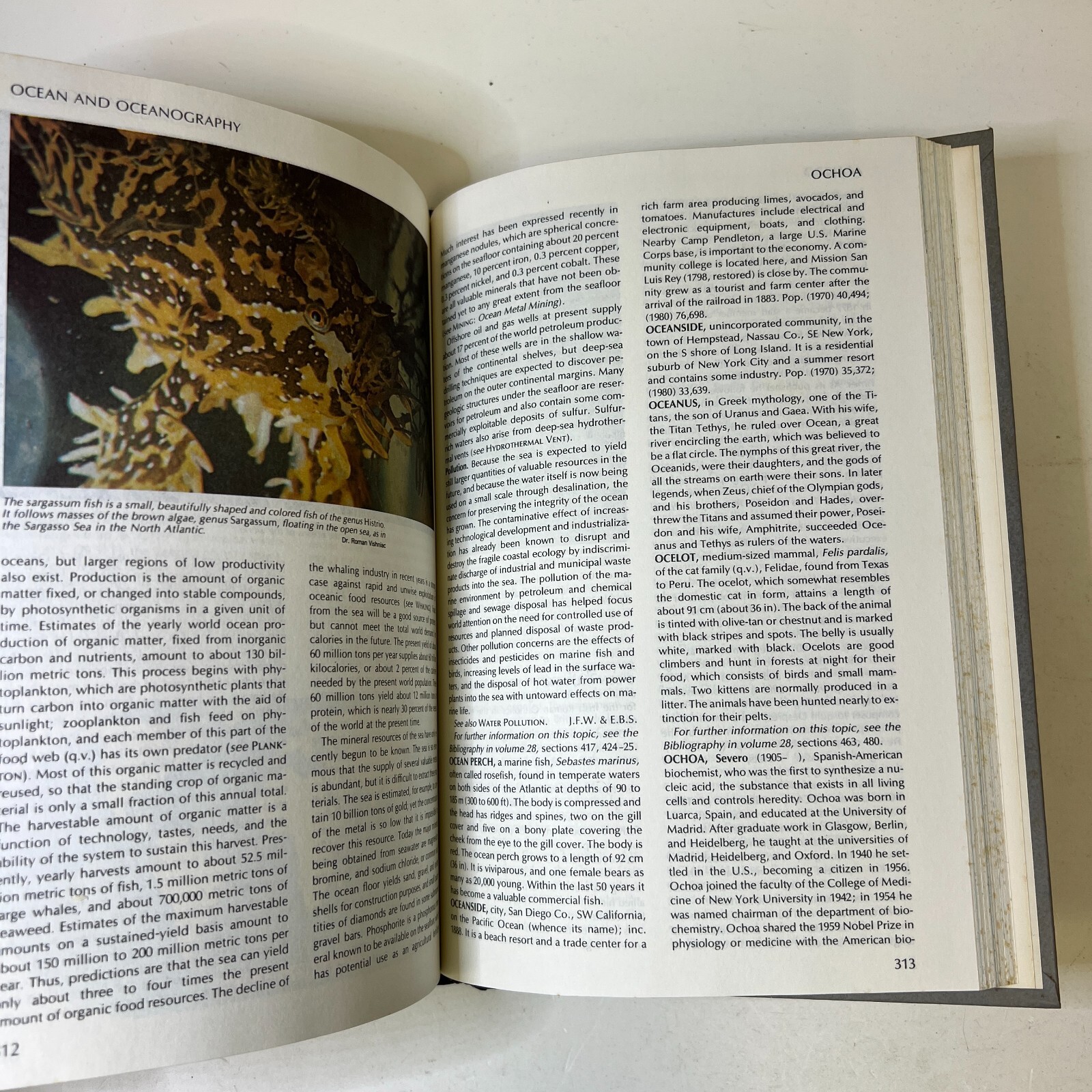 Funk and Wagnalls New Encyclopaedia, Vol. 19, by Leon L. Bram Hardcover