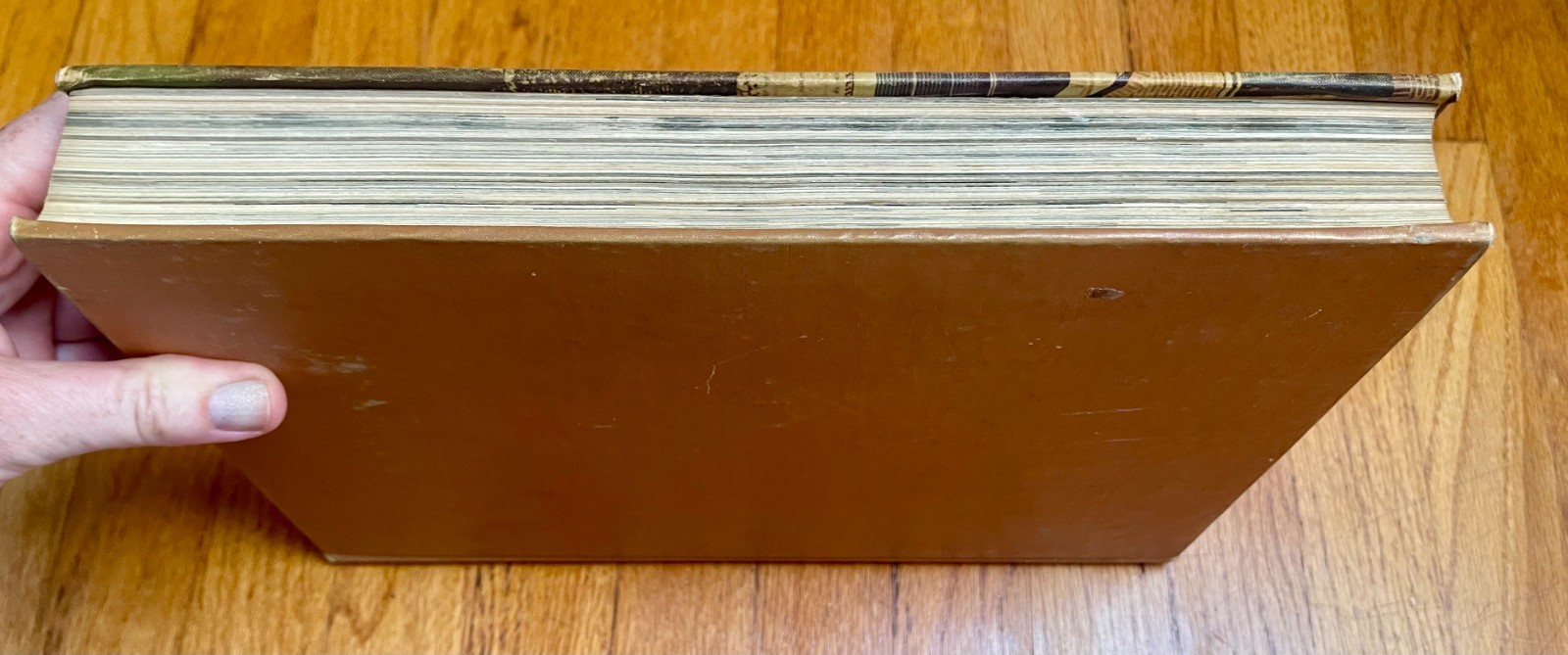Vintage UCLA Yearbook Southern Campus 1947 Vol. 28