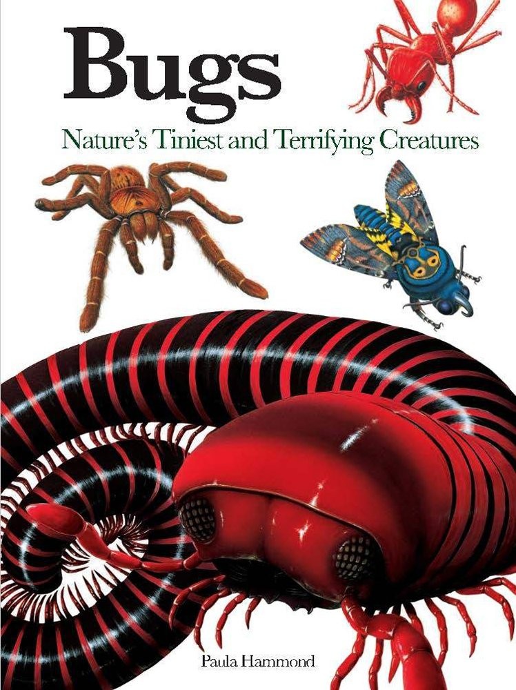 Bugs: Nature’s Tiniest and Terrifying Creatures (Mini Encyclopedia)