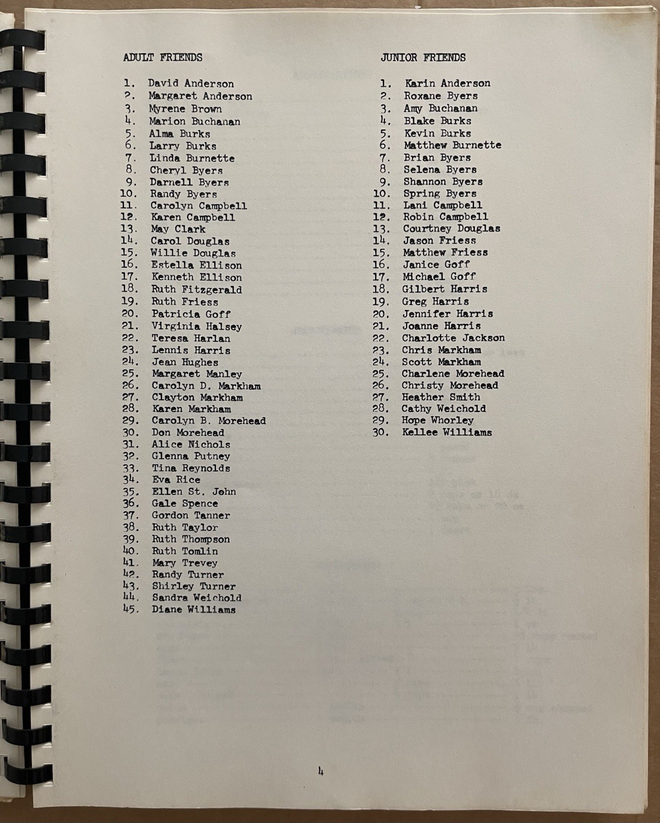 1987 BIG ISLAND, VA, BIG ISLAND LIBRARY FRIENDS COOKBOOK, 125 PAGES, VINTAGE