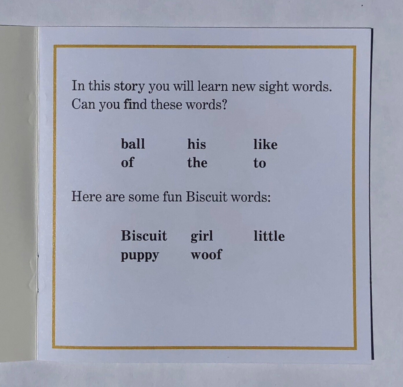 Biscuit Phonics Childrens Books Fun Learning Learn to Read I Can Read Lot 24