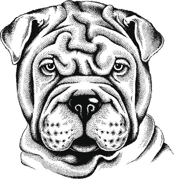 Dogs coloring book for all ages Pets Series 108 Pages 8.5 x 11 for All Ages