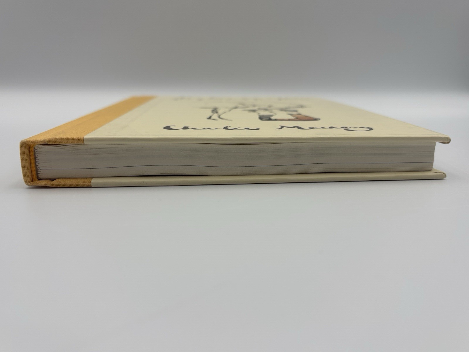The Boy the Mole the Fox and the Horse Charlie Mackesy Hardcover 1st Edition