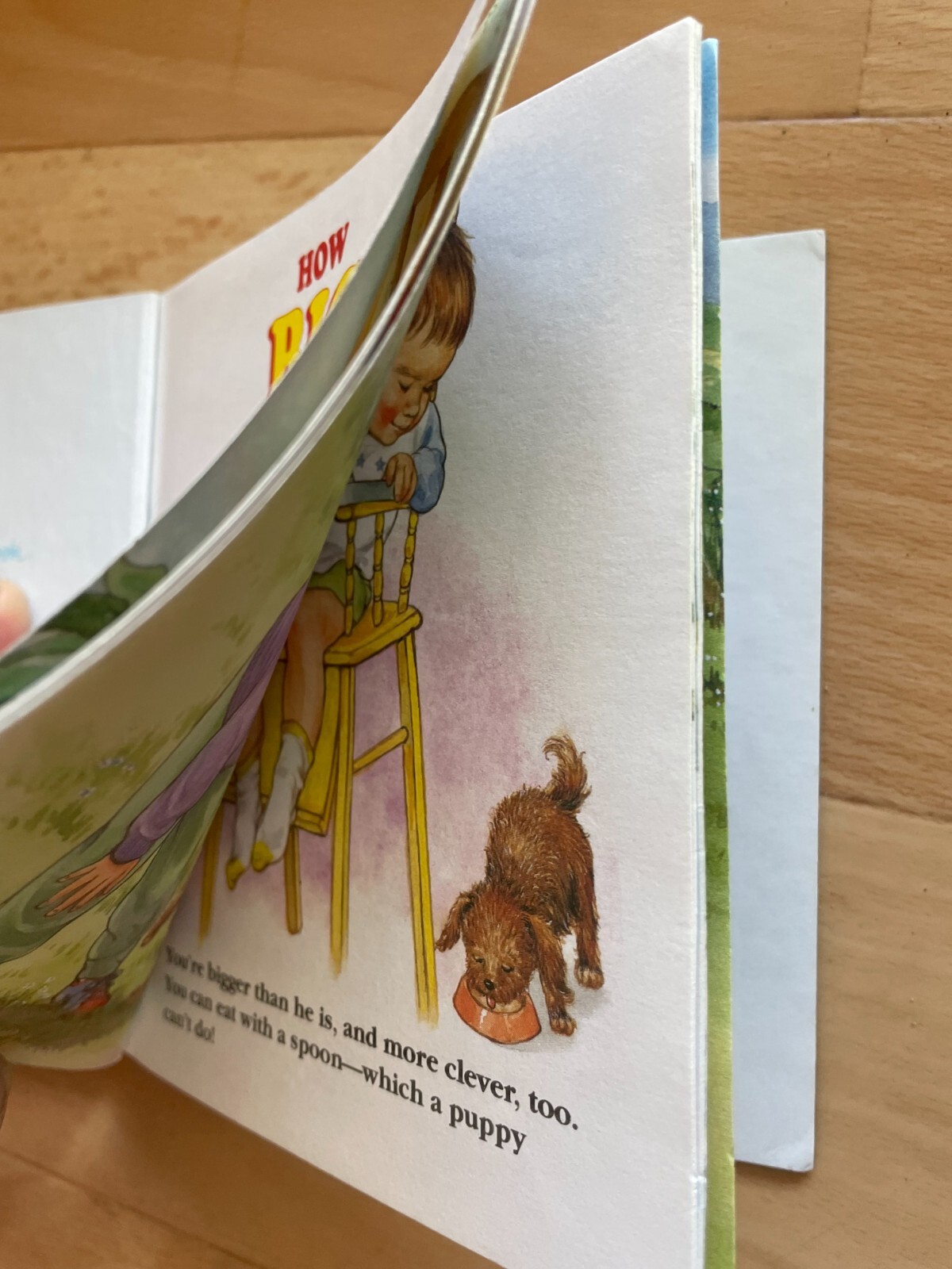 A FIRST LITTLE GOLDEN BOOK. HOW BIG ARE YOU?. 15 BY 14CM. 1995. CORINNE MALVERN