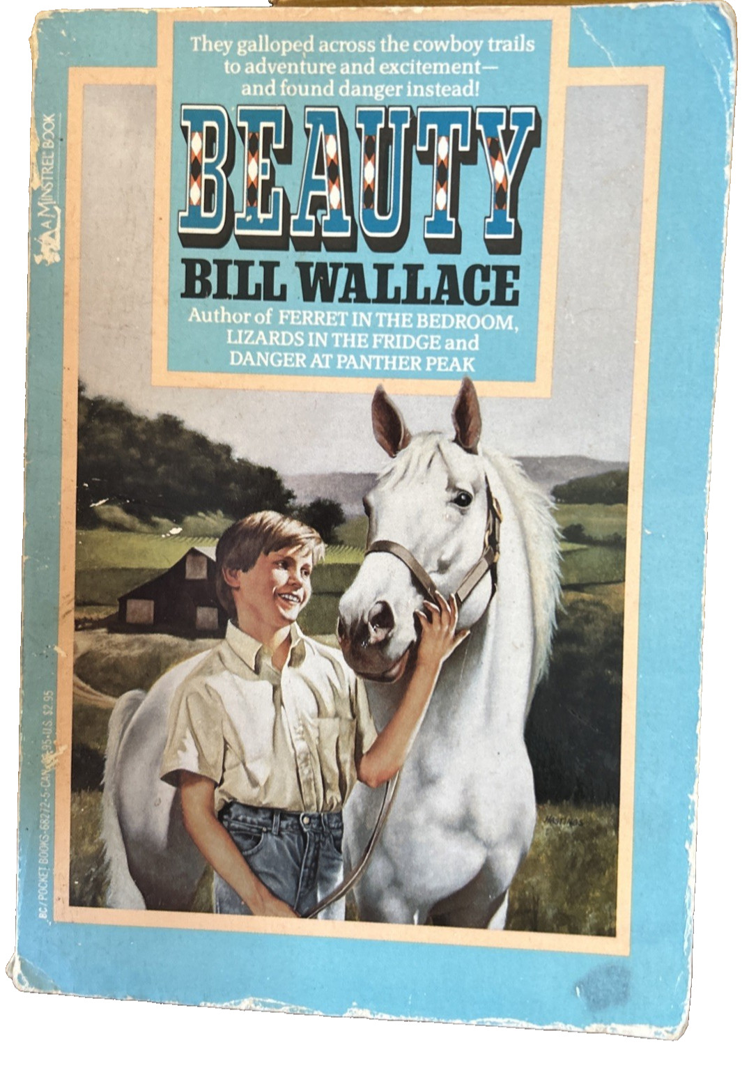 Beauty by Bill Wallace, Nov 1989 (1st printing), VINTAGE PB, 177 pages