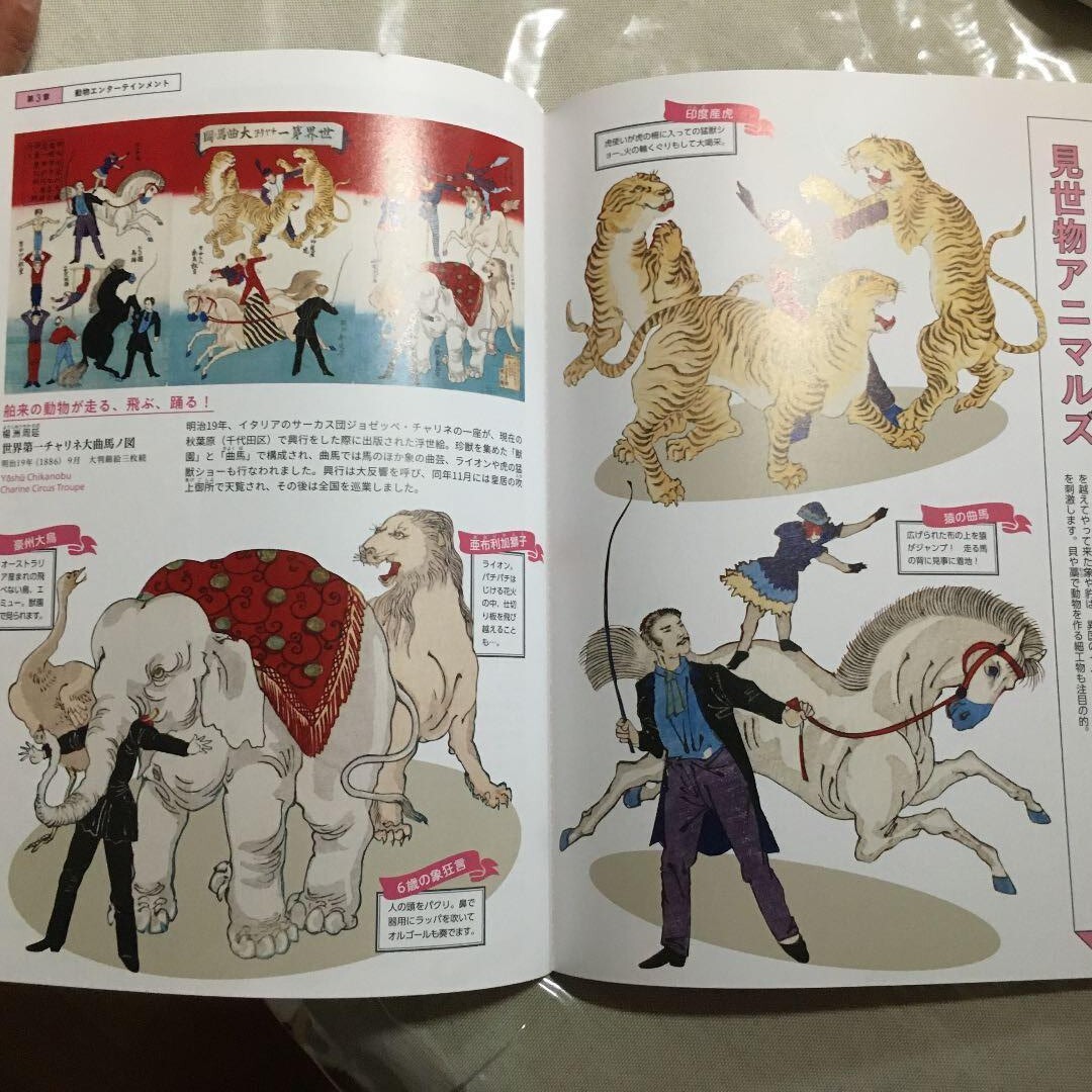 Ukiyo-e Zoological Garden Edo Period Animals Art Illustration Book 125pages