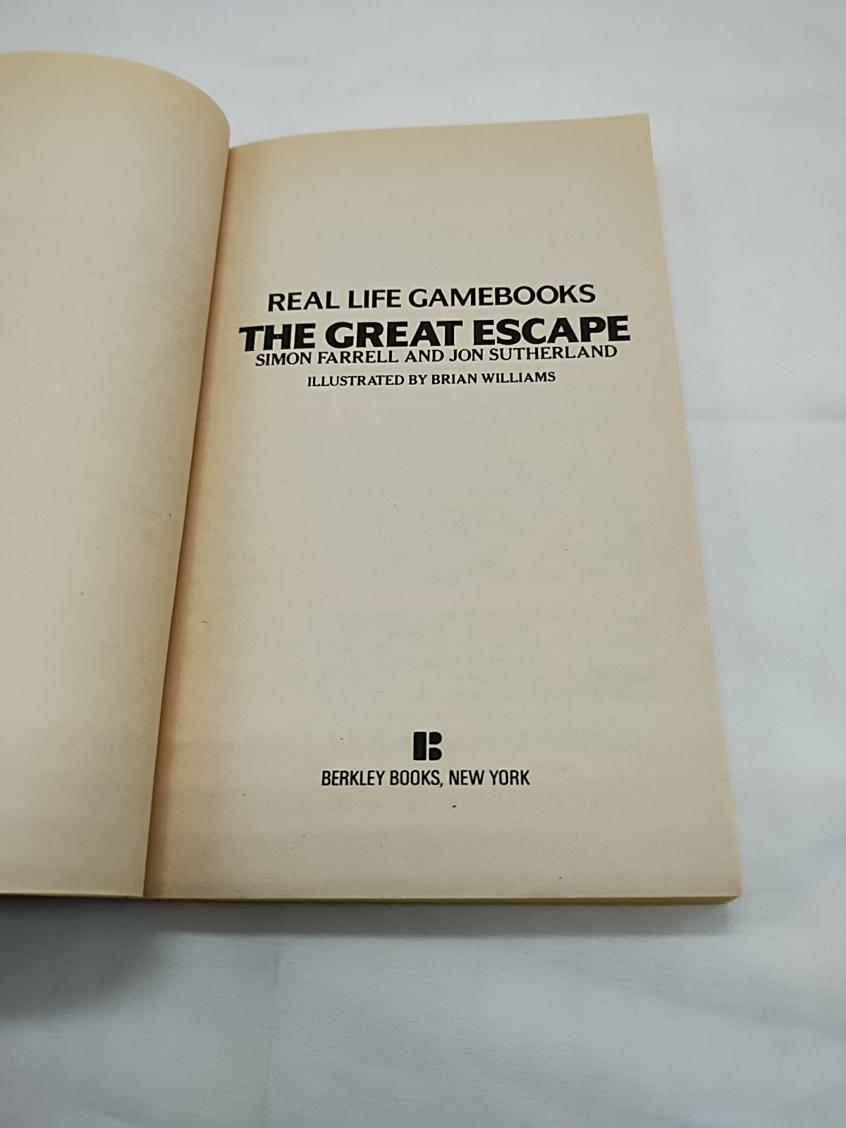 A Real Life Gamebook The Great Escape Choose Your Own Adventure Book