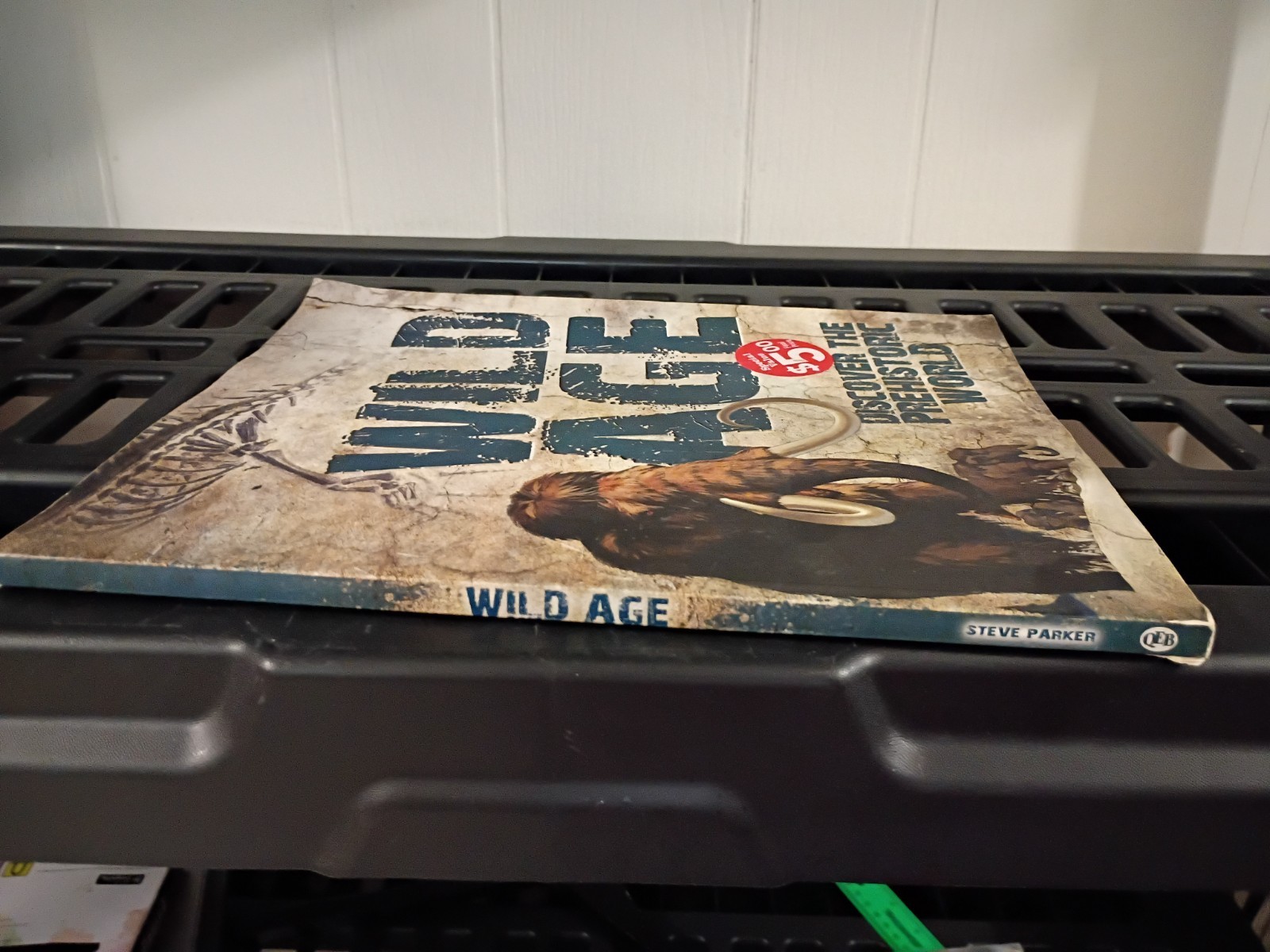 Wild Age Discover The Prehistoric World Paperback 9×12 Inches Book