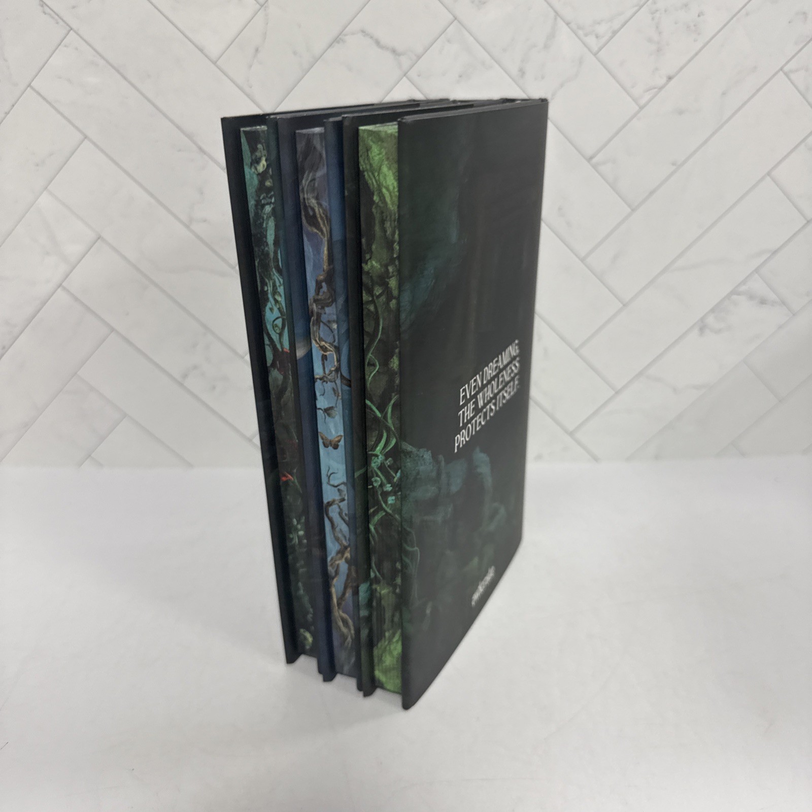 Owlcrate Special Edition Sworn Soldier Trilogy by T Kingfisher New