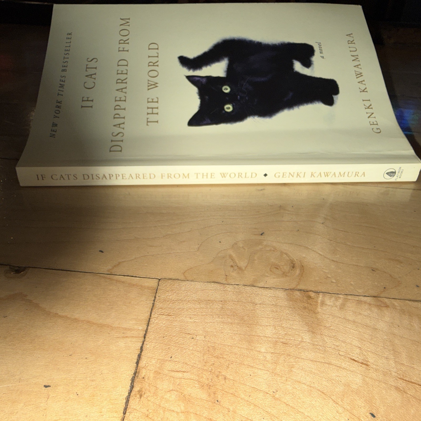 Genki Kawamura If Cats Disappeared from the World Flatiron Paperback Fiction