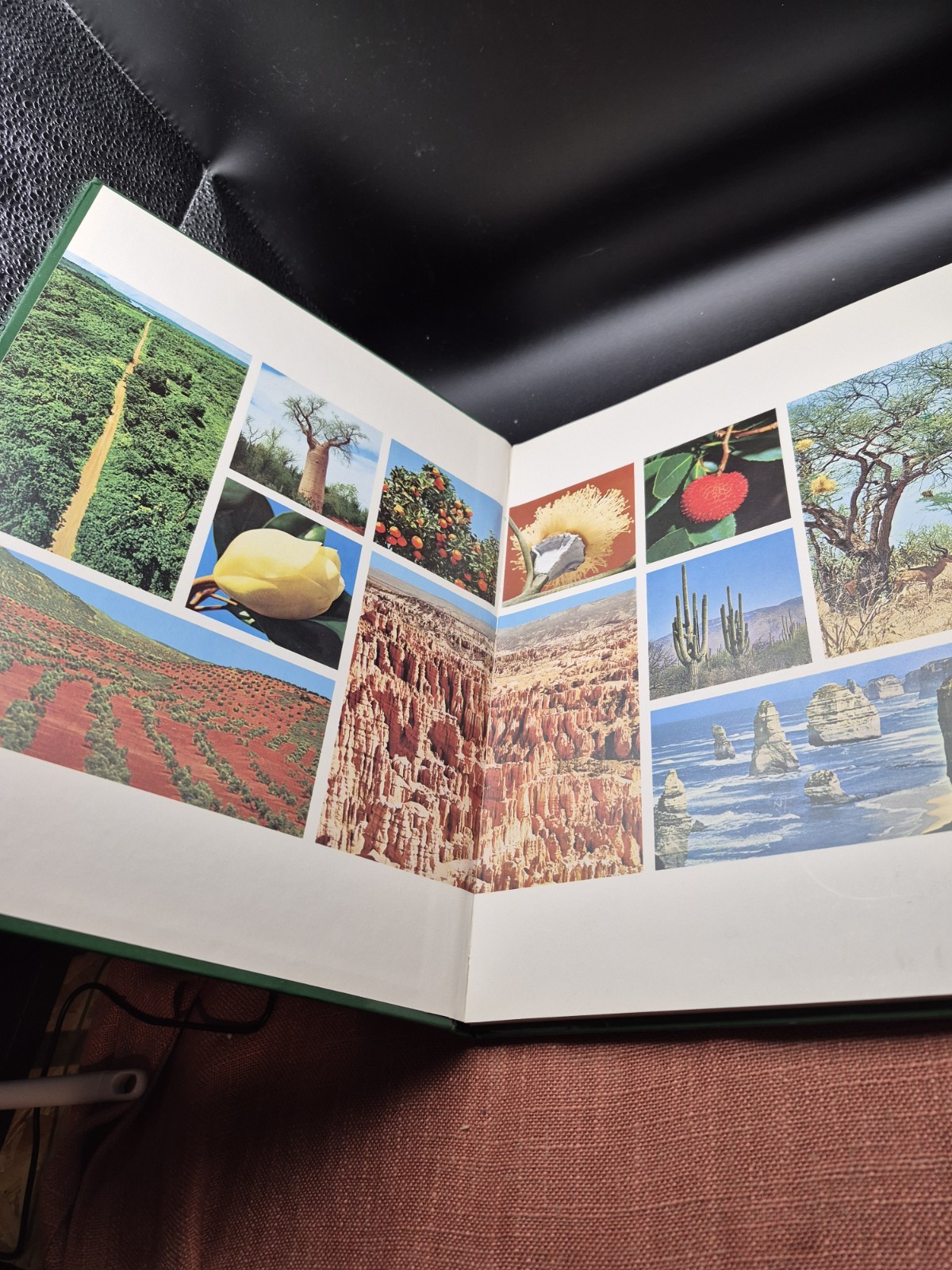 Purnell’s Illustrated Nature Atlas. Edited by Norman Barrett. Vintage book, 1980