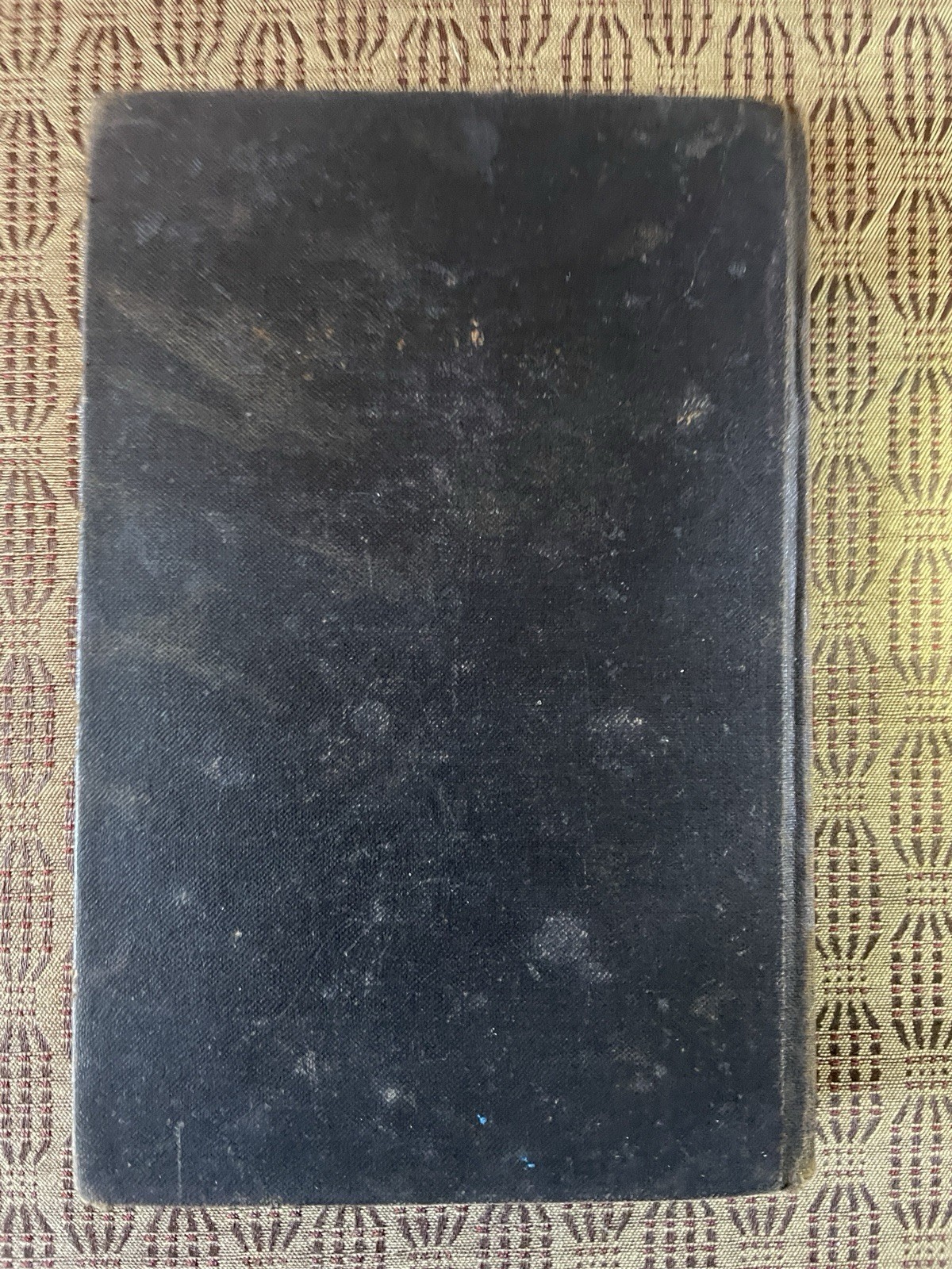 Thirteen Men FRASER, W.A. D. Appleton & Co, New York, 1906 HC Antique Book