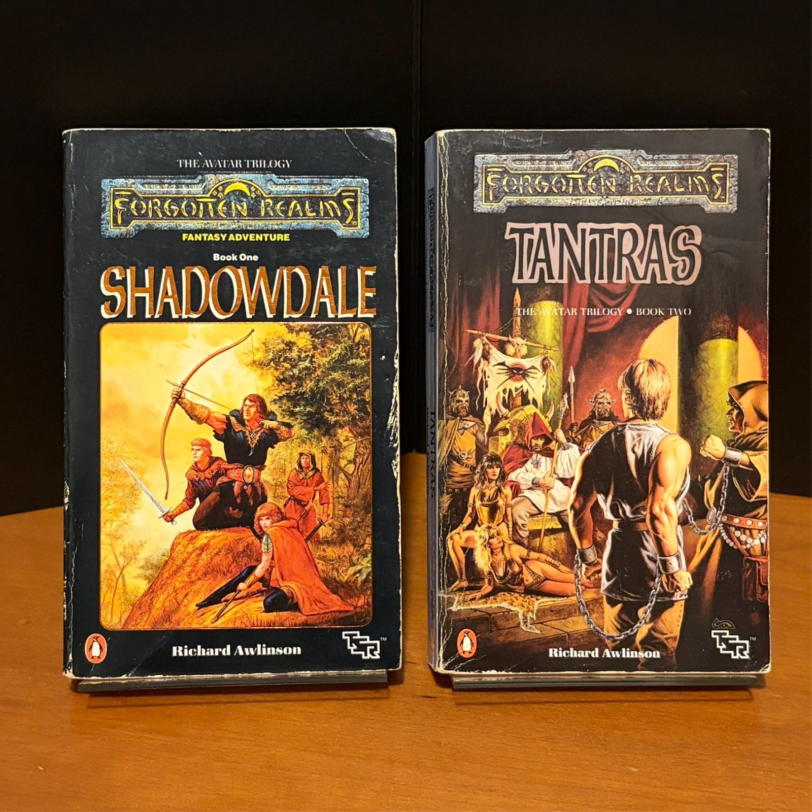 Forgotten Realms: Shadowdale & Tantras, Avatar 1-2 1989 Penguin Editions D&D Lot