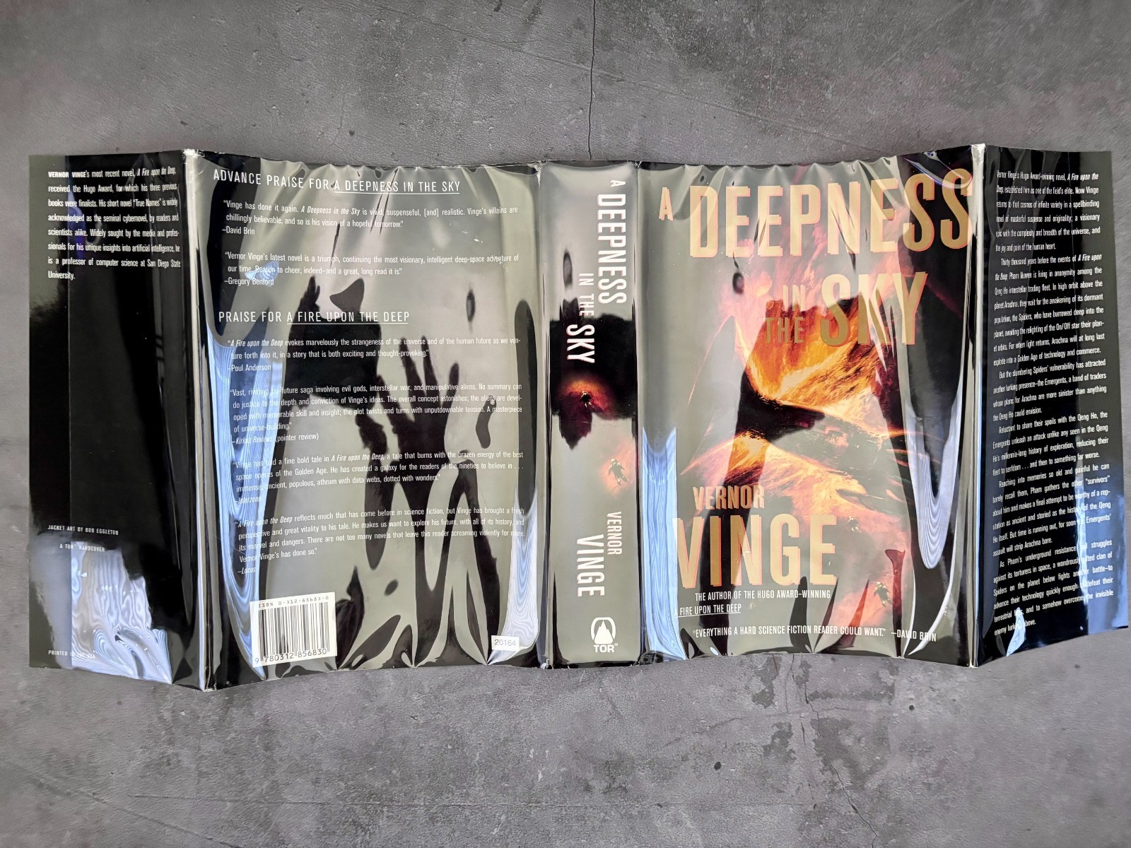 Vernor Vinge Deepness In The Sky Hardcover (Zones #2) Hugo Winner – VERY GOOD