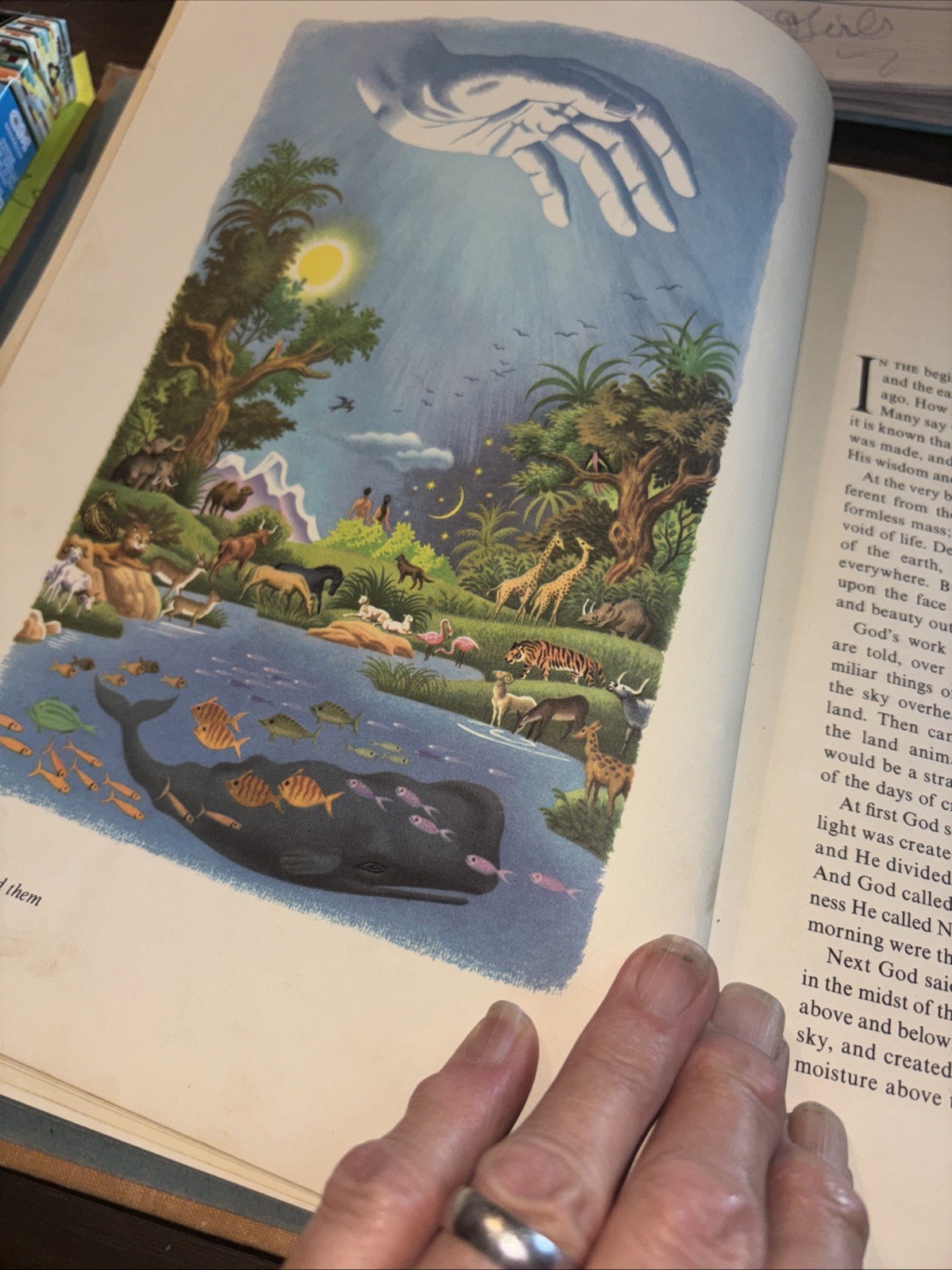 THE RAINBOW BOOK OF BIBLE STORIES-1956 J Harold Gwynne Illustrator Steele Savage