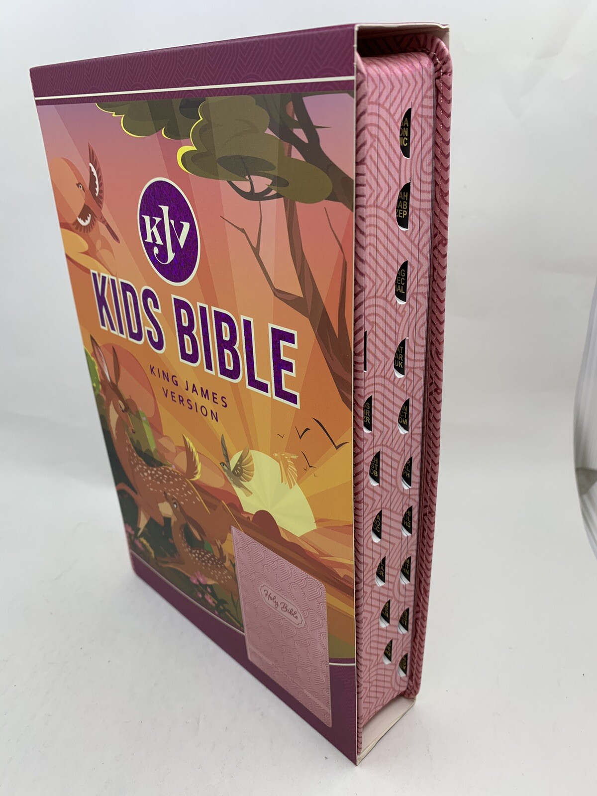 KJV Kids Bible, large print 40 Pages Full Color Study Helps, Presentation index