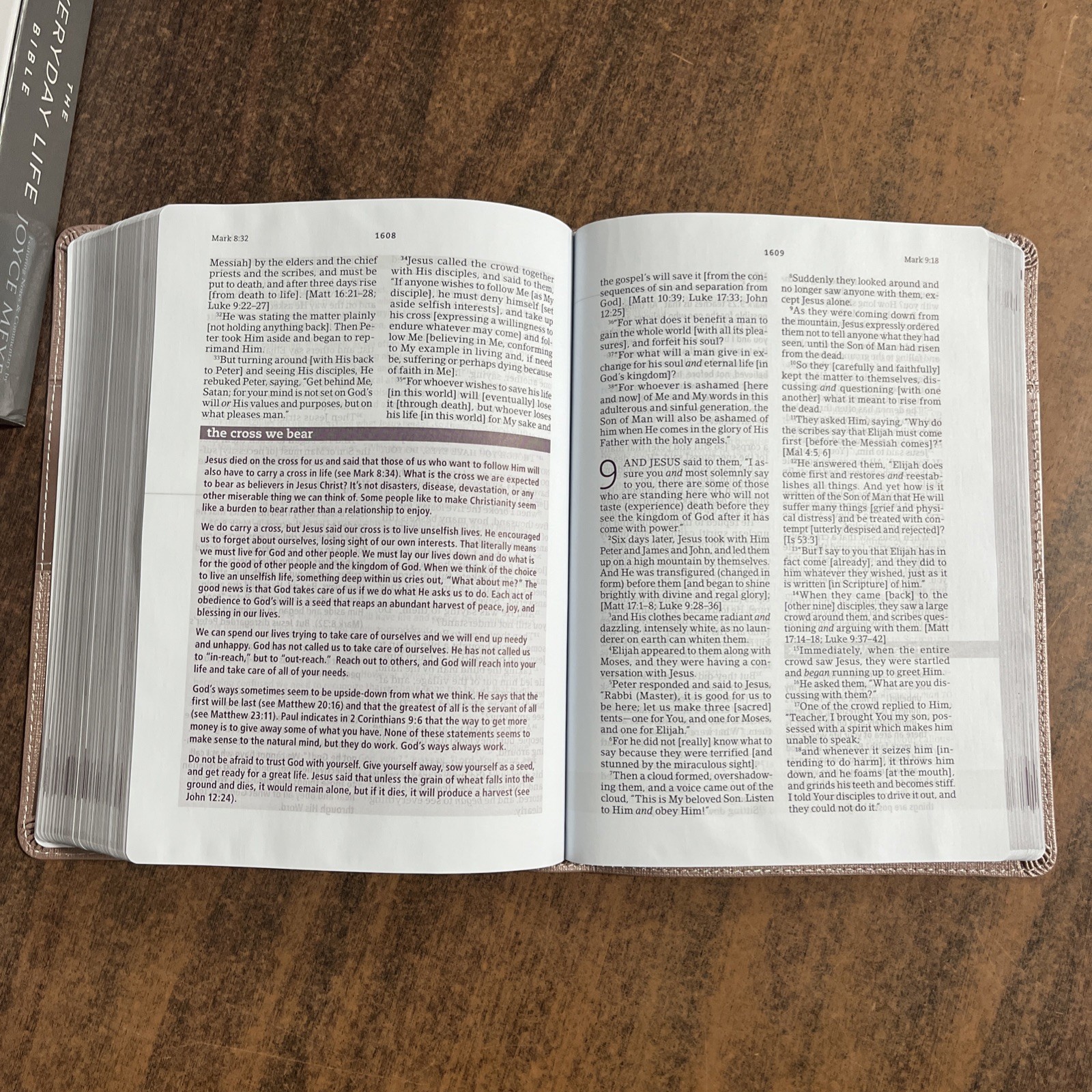 Amplified Joyce Meyer Everyday Life Study Bible – Blush LeatherLuxe