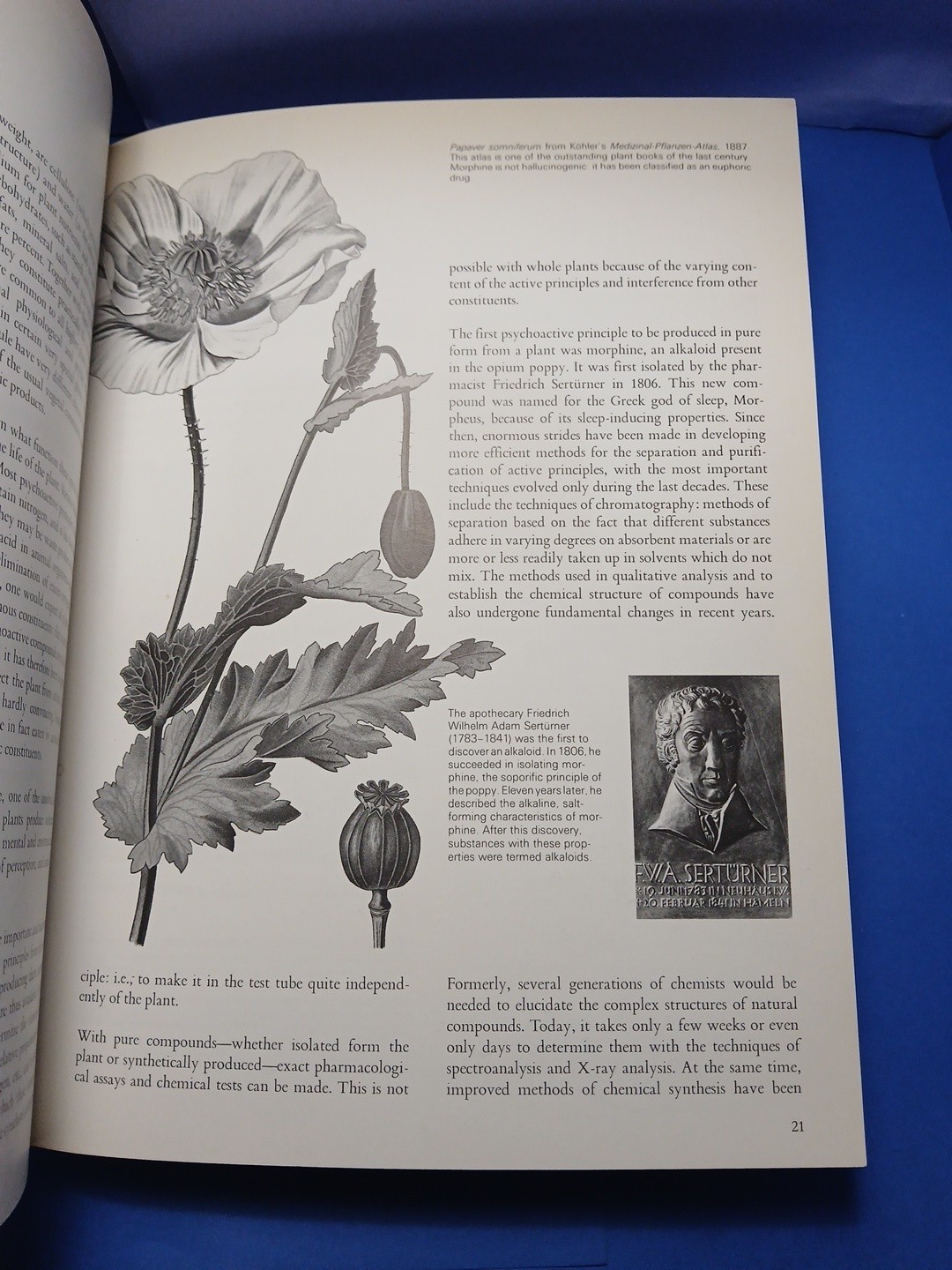 Plants of the Gods Origins of Hallucinogenic Use Schultes Evans Hoffman 1979