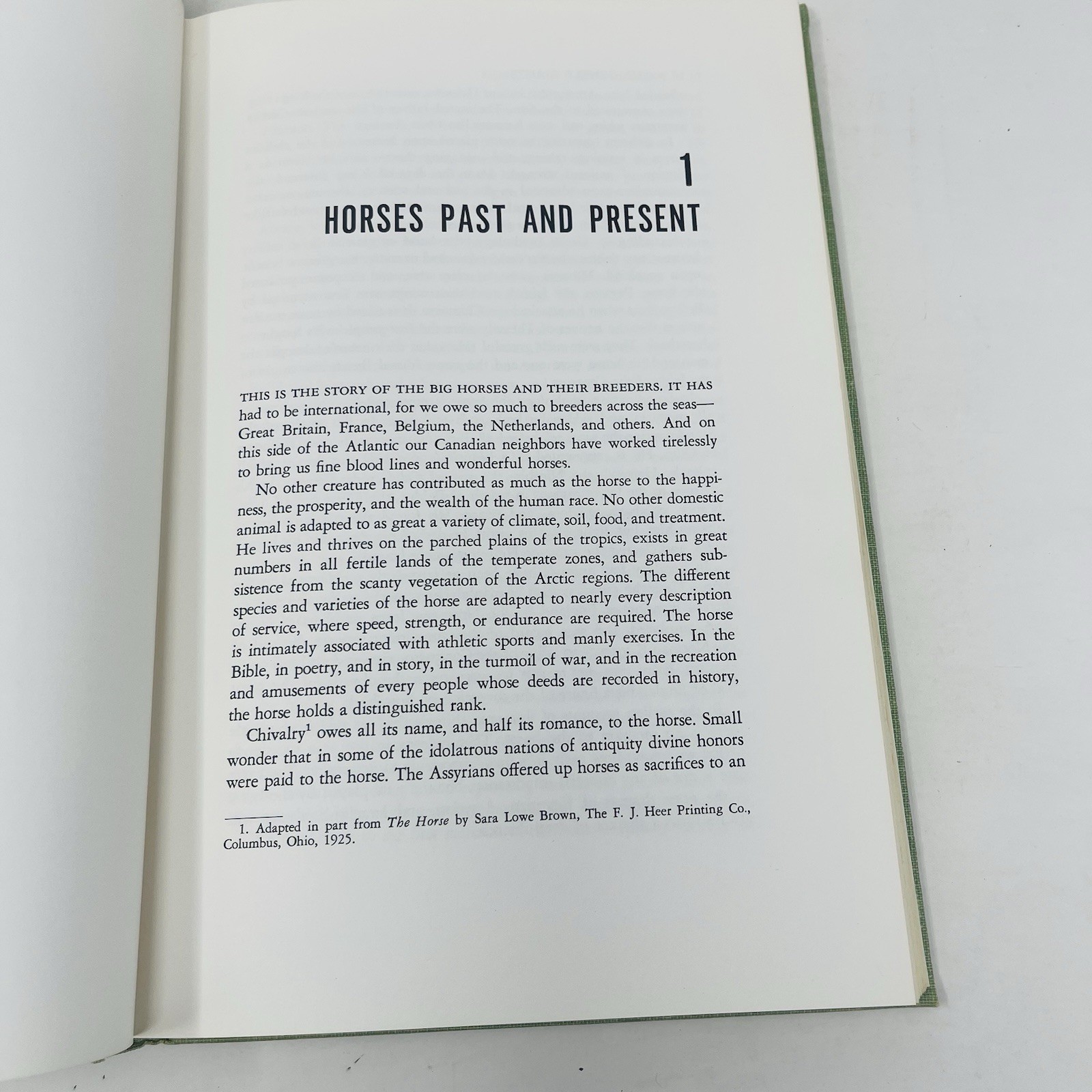 Gentle Giants Story of Draft Horses Stanley M. Jepsen 1973 HC 2nd Print Photos
