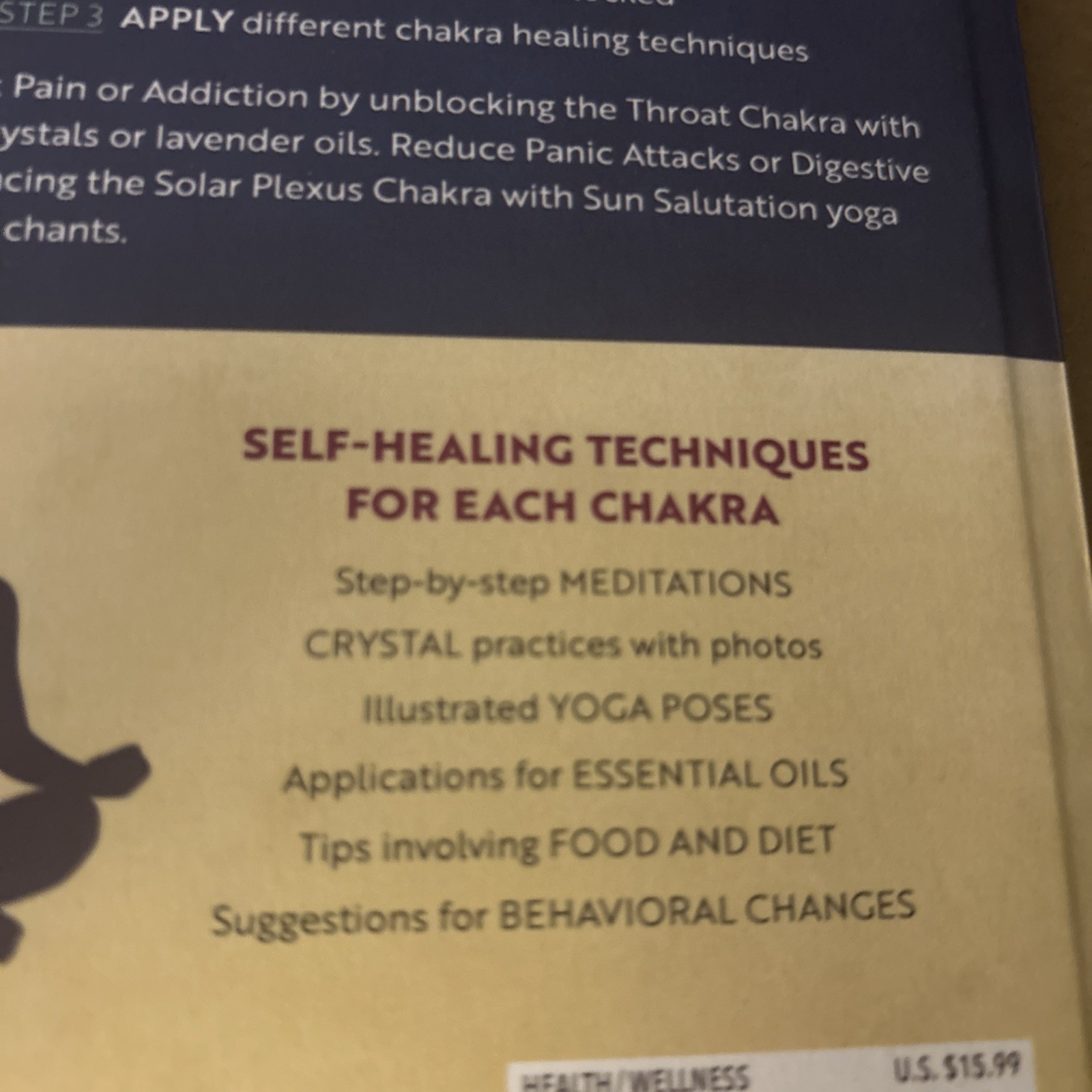 Chakra Healing (A beginners guide to Self Healing) By Margarita Alcantara