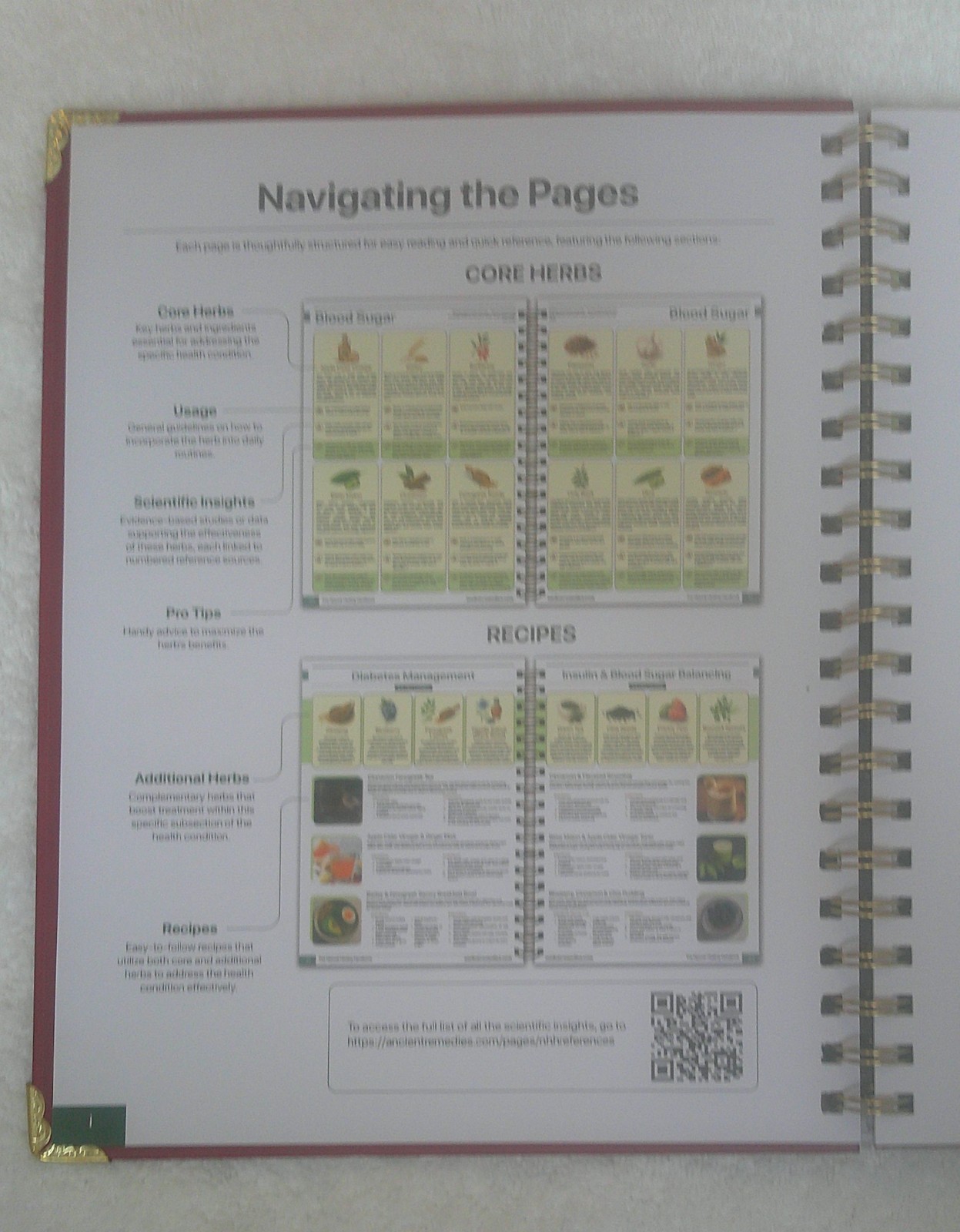 The Natural Healing Handbook by Ancient Remedies Press, Revised Edition