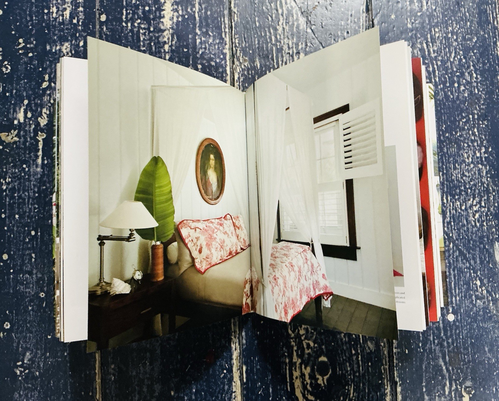 India Hicks Island Style 2015 HBDJ RARE SIGNED 1ST HOME & GARDEN INTERIOR DESIGN