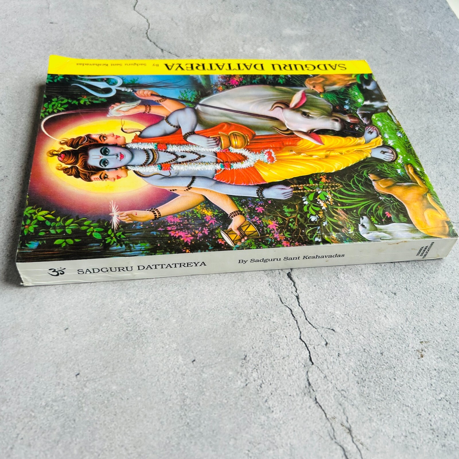 Lord Ganesha + Sadguru Dattareya Paperback Book Lot by Sadguru Sant Keshavadas