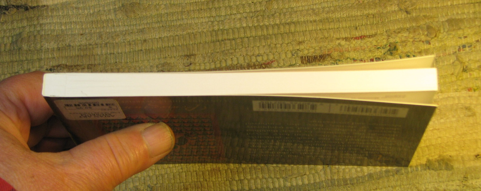 TANGKAS Buddhist Paintings Tibet Book of Postcards American Museum of Natural Hi