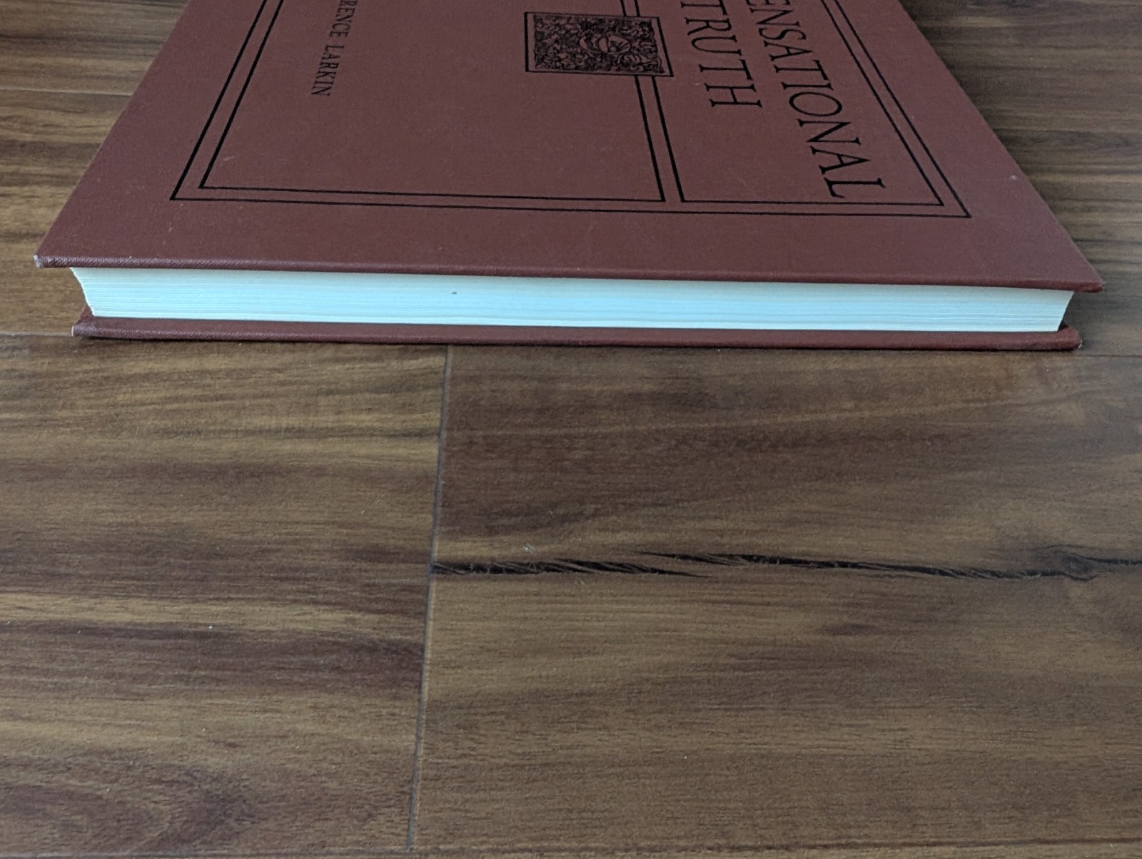 Vintage: Dispensational Truth or God’s Plan and Purpose Clarence Larkin HC