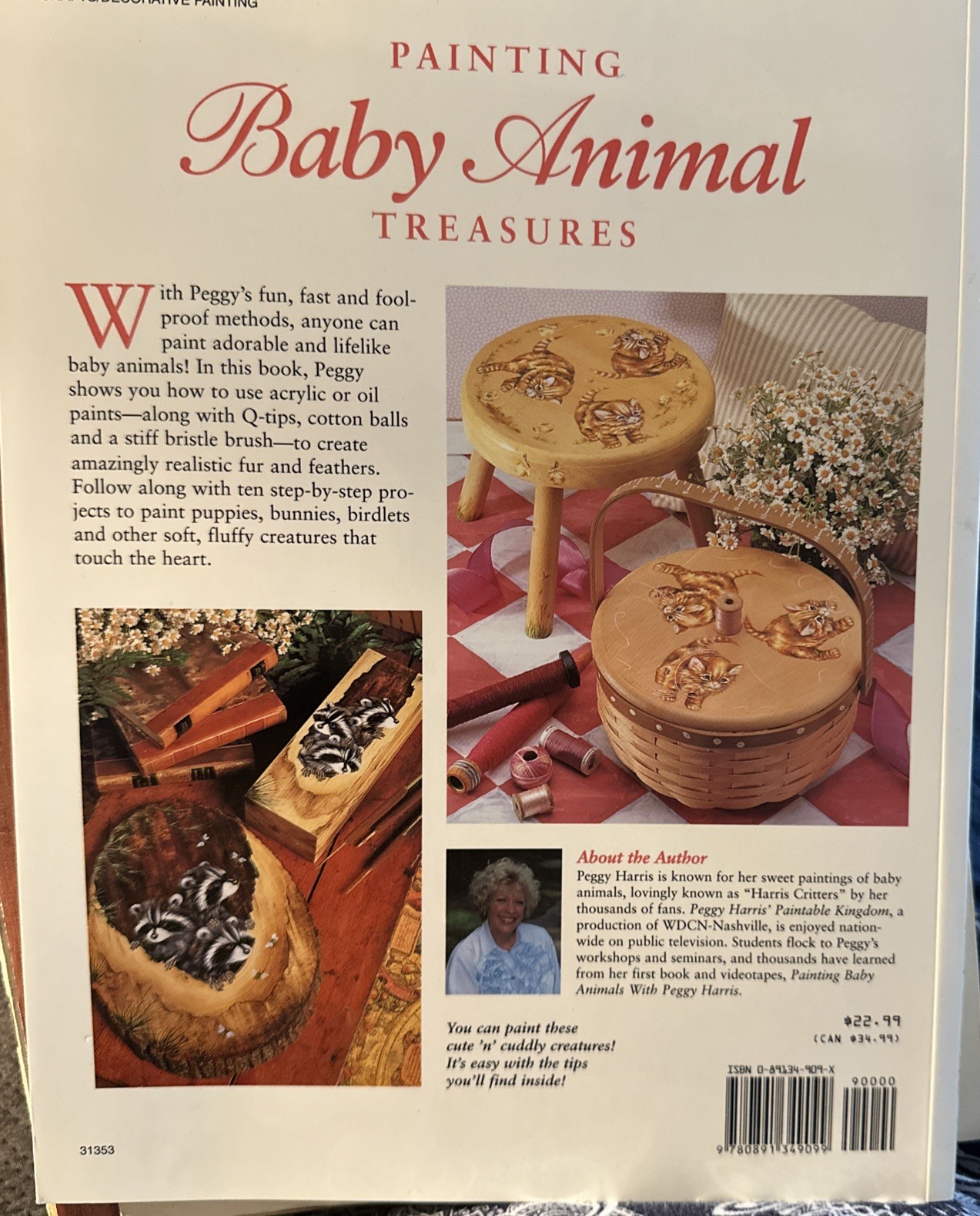 Painting Baby Animal Treasures (Decorative Painting) – Paperback – GOOD