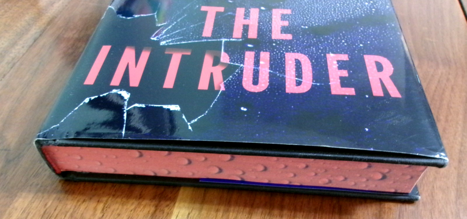 ‚The Intruder‘ by Freida McFadden (2025 HC) NEW. Free Shipping 1st Edition