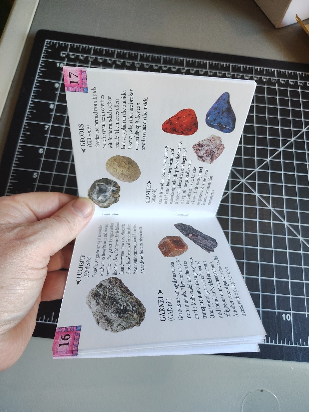 Dig into Rocks A Guide for Collectors 36 Pages Rocky the Rockhound is Your Guide