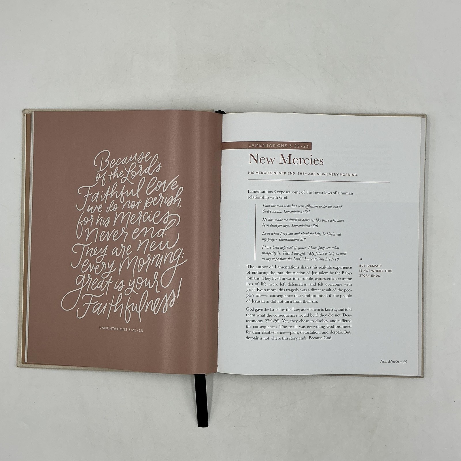 The PROMISES Of God By The Daily Grace Co. Hardcover Beige – Religious Book