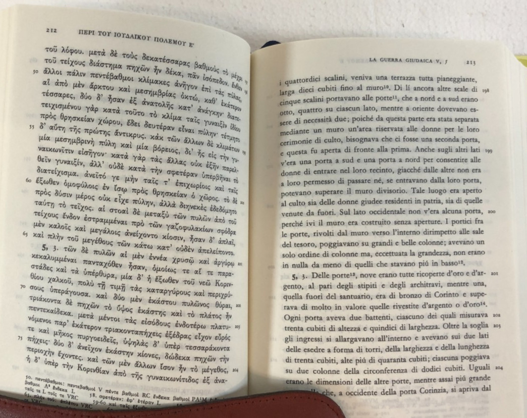 La Gurra Guidaica, Two Volumes, Vitucci, 2005, E-119