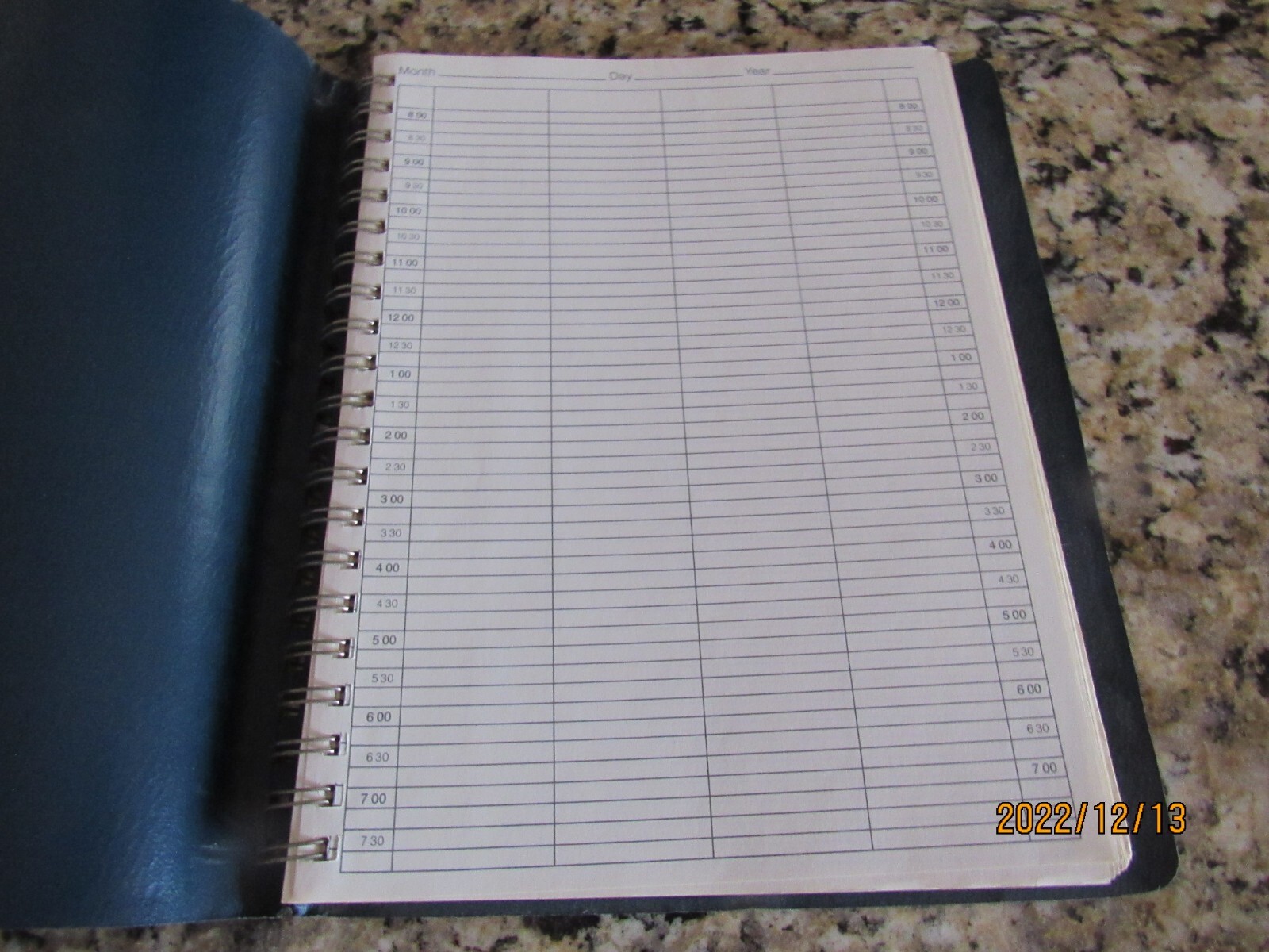 Note-a-Date Daily Group Professional Appointments Planner-Calendar- 125 2X-Pages