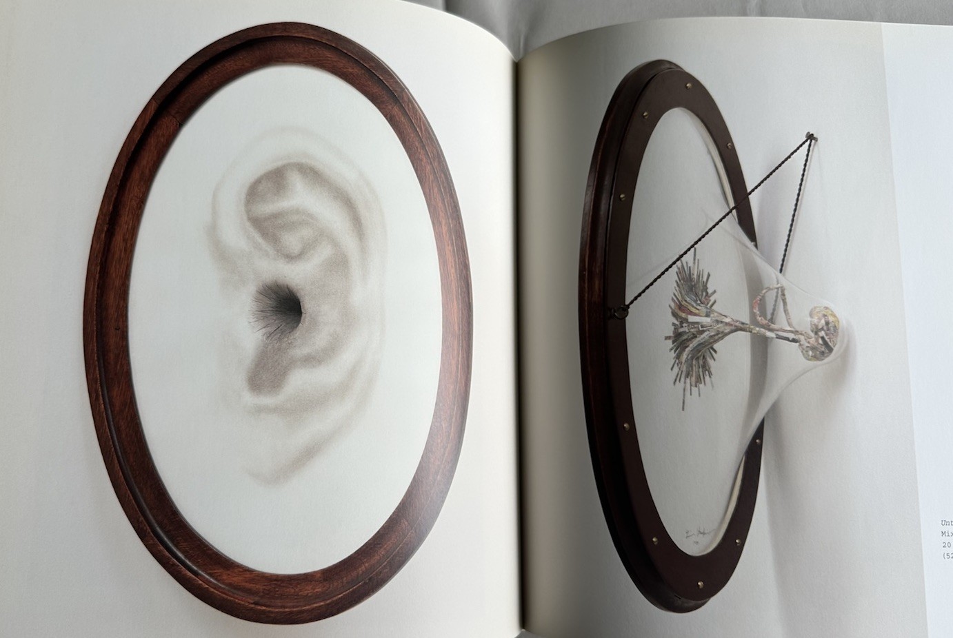 Tim Hawkinson HC Museum Exhibition Catalogue 2005 Abrams Absurdist Post Modern
