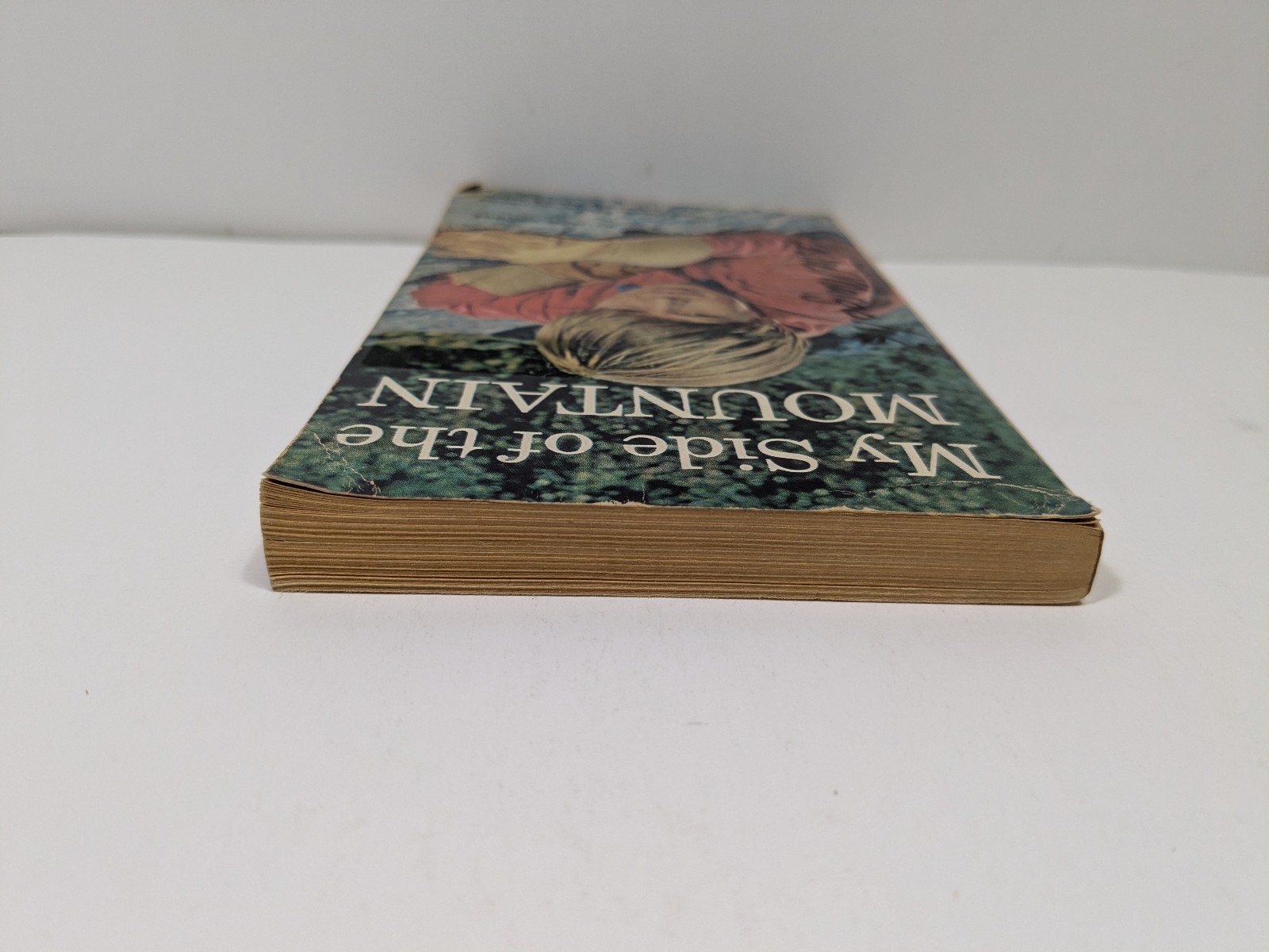 My Side of the Mountain by Jean George Vintage Paperback Book Scholastic Book