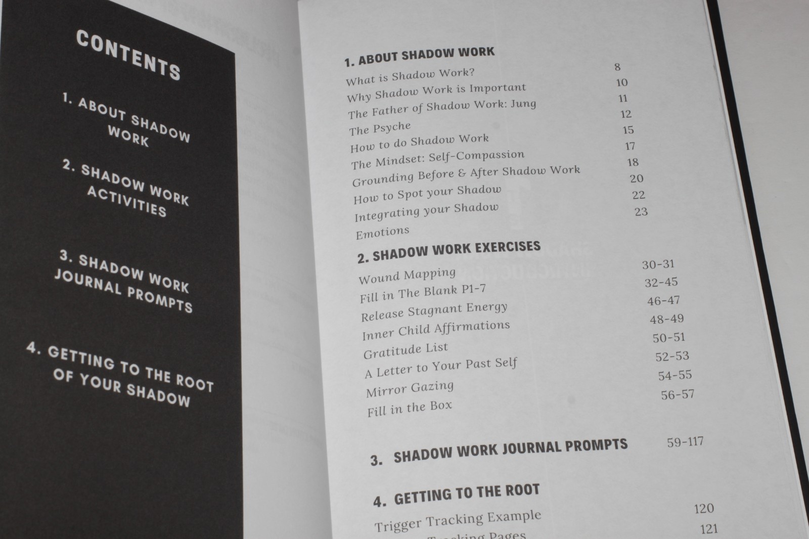 The Shadow Work Journal (Hardcover 2023)