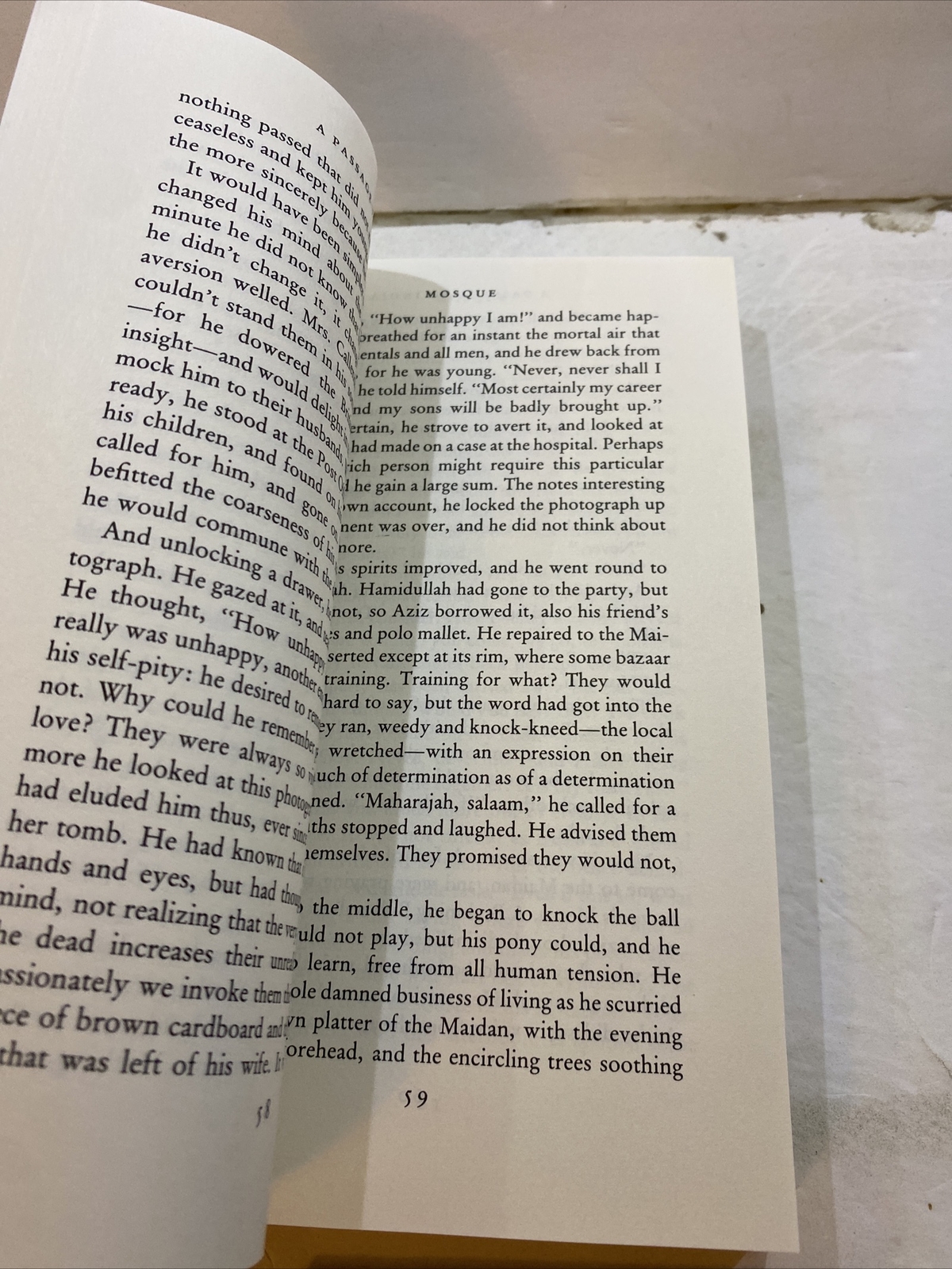 The Passage To India – E.M. Forster (Paperback, 1984)