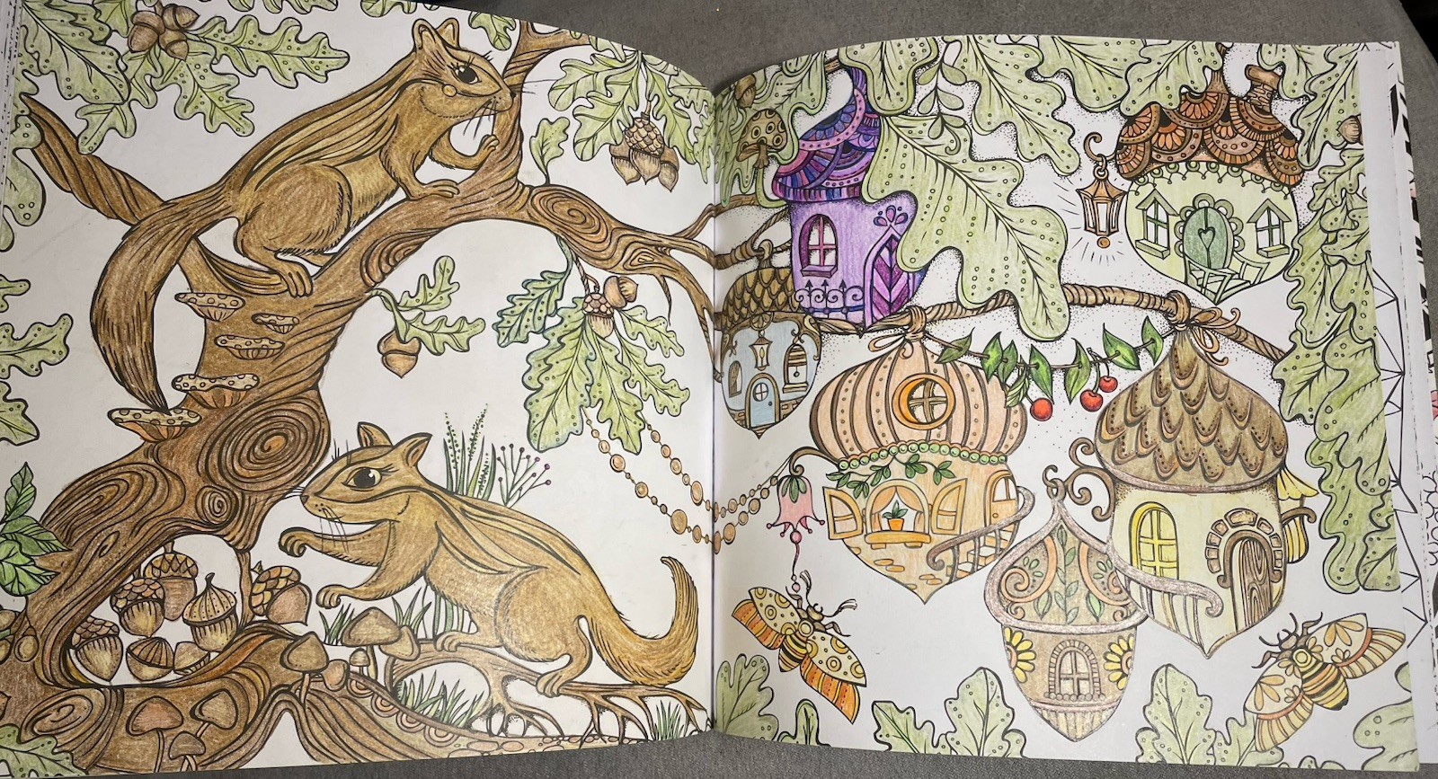 Die Welt unter der Lupe zu Lande RITA BERMAN German Import Nature Coloring Book