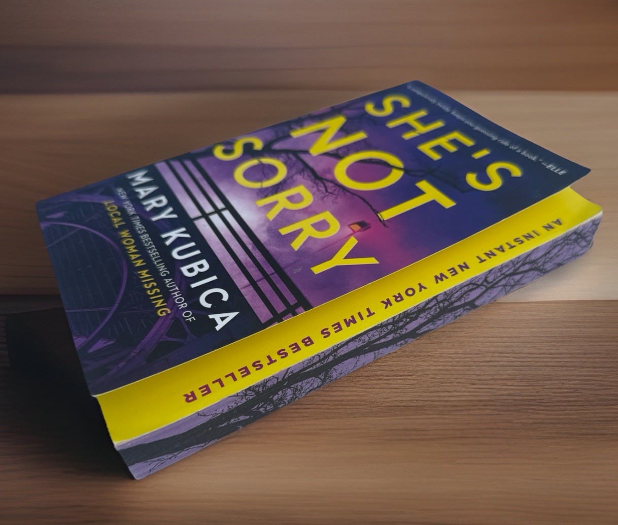 She’s Not Sorry Paperback Book by Mary Kubica Psychological Thriller