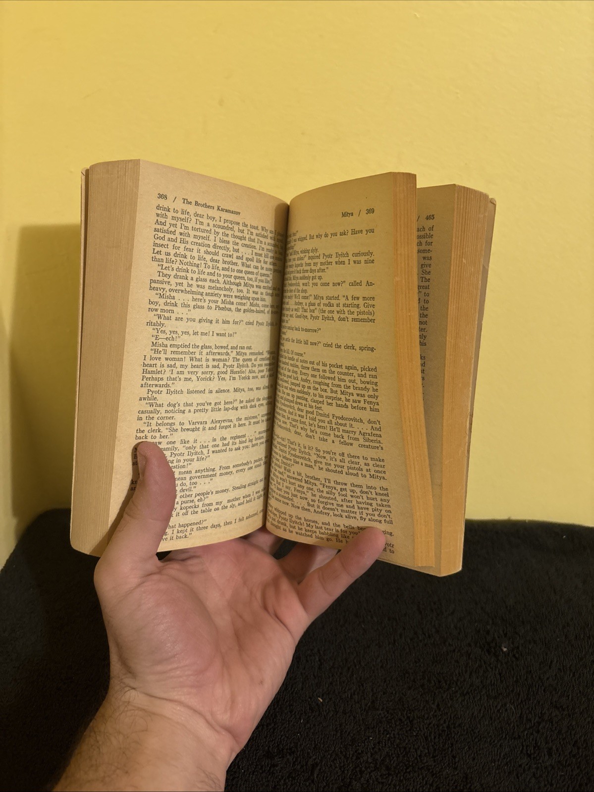 fyodor dostoyevsky the brothers karamazov Paperback Book 1966