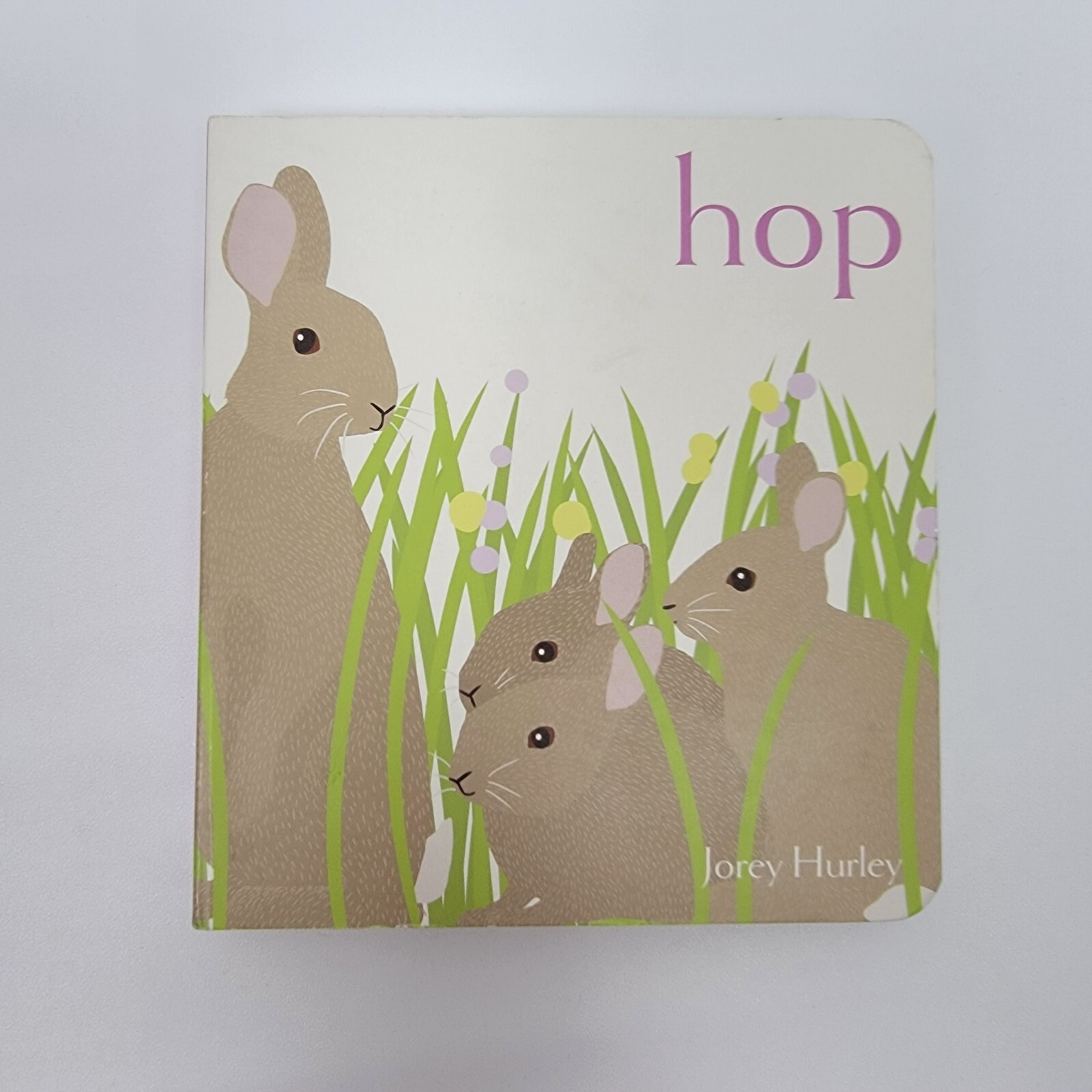„New“ Hop, Hardcover Little Simon by Jorey Hurley. Kind book 5.5″x6″x0.75″
