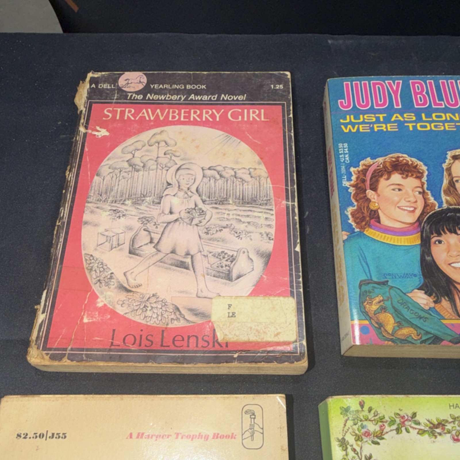 Vintage Children’s Fiction Paperback Lot – Lenski, Blume, White, Burnett, 5 Boo…