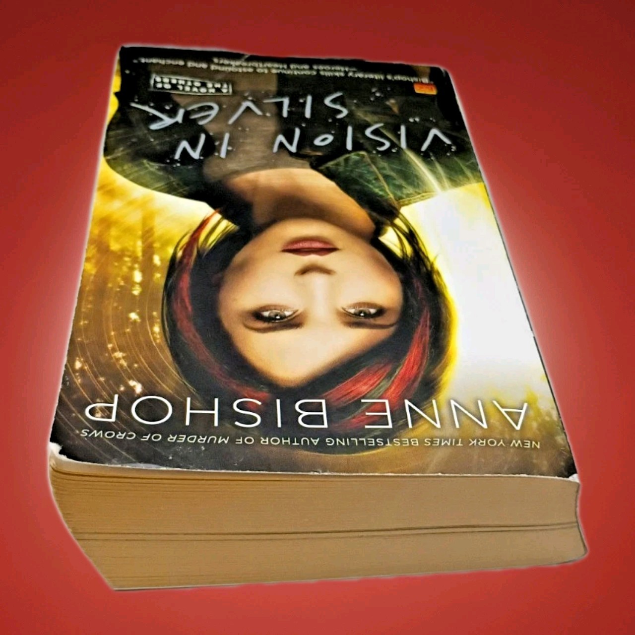 Vision in Silver Anne Bishop 1st Ed 1st Print MMP Novel of Others Like New 🐺✨