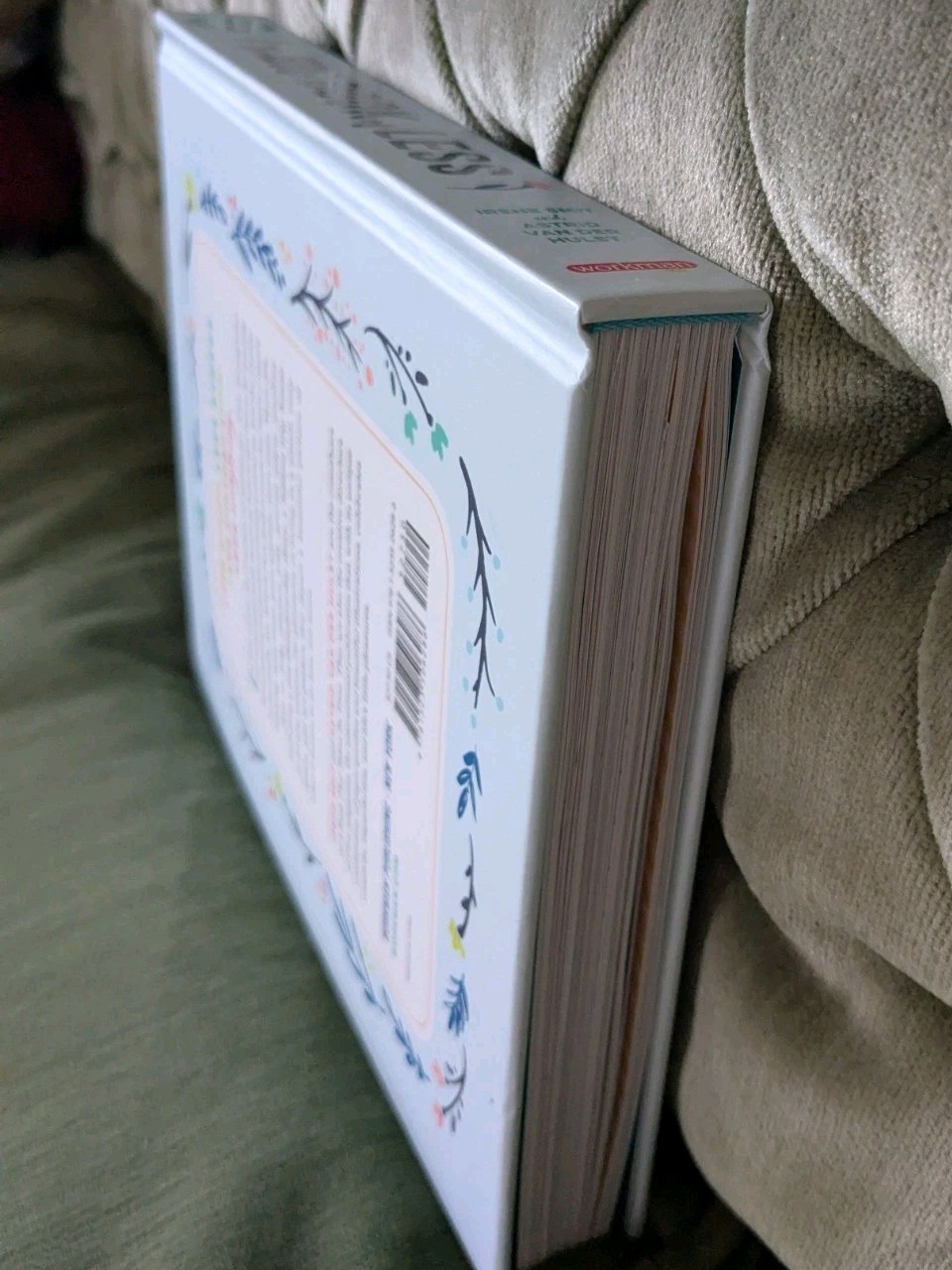 The Big Book of Less: Finding Joy in Living Lighter (Flow) – Hardcover Smith
