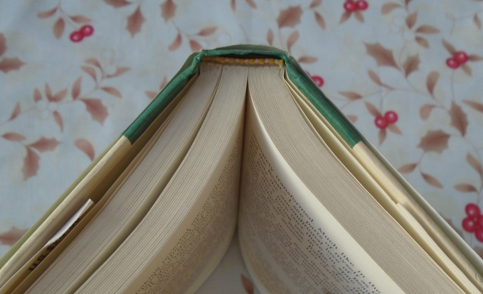 The Unimaginable Life By Julia Loggins SIGNED HARDCOVER
